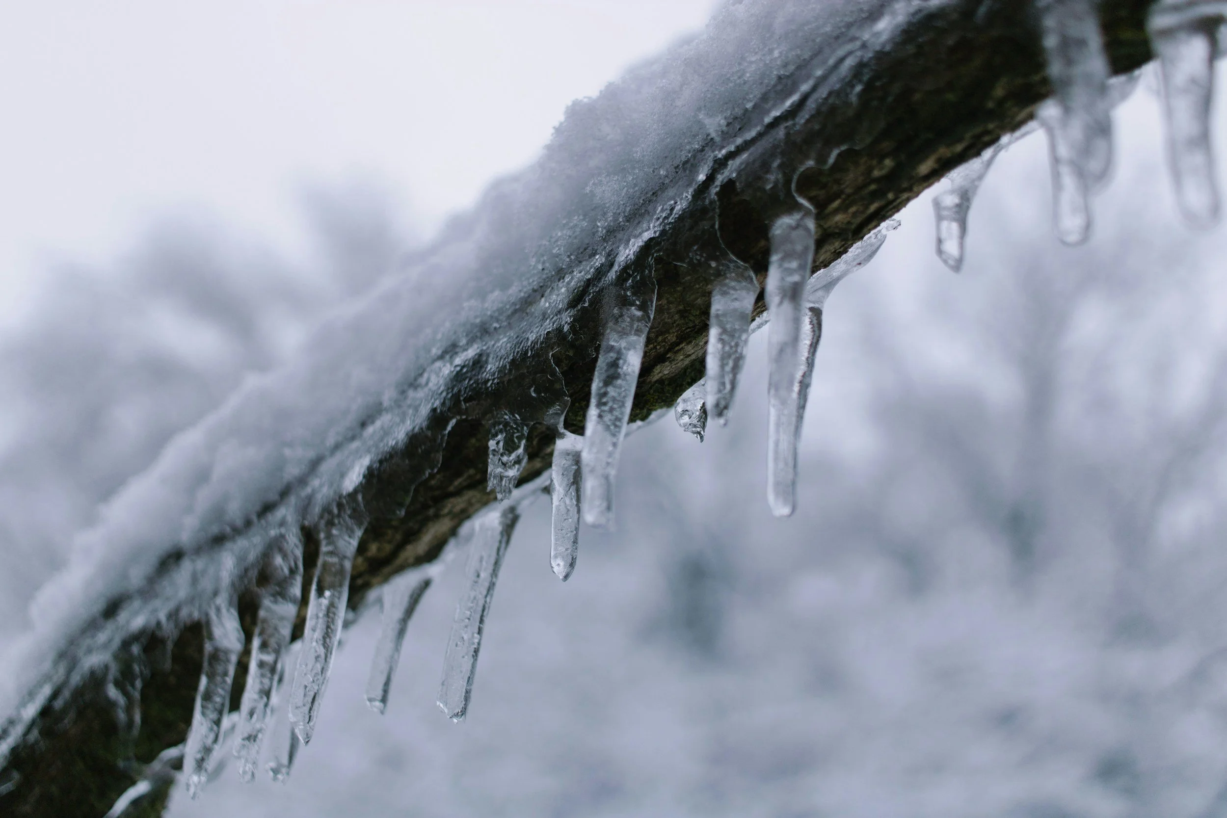 The Icicles
