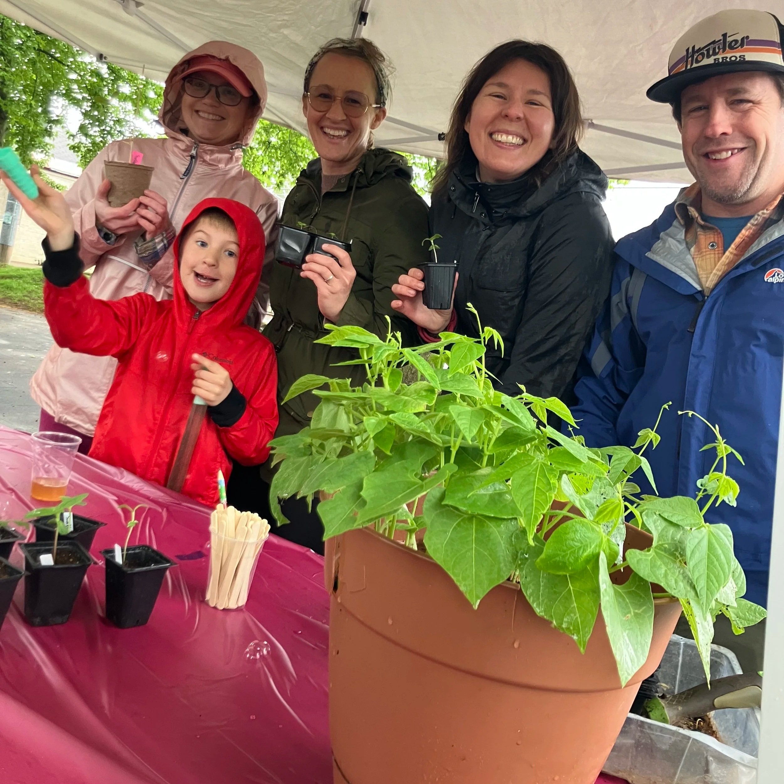 Celebrating Our First Neighborhood Plant Swap