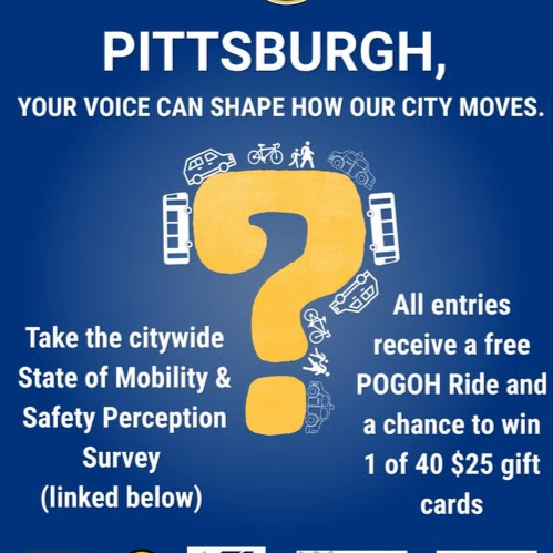 Citywide Mobility &amp; Safety Perception Survey