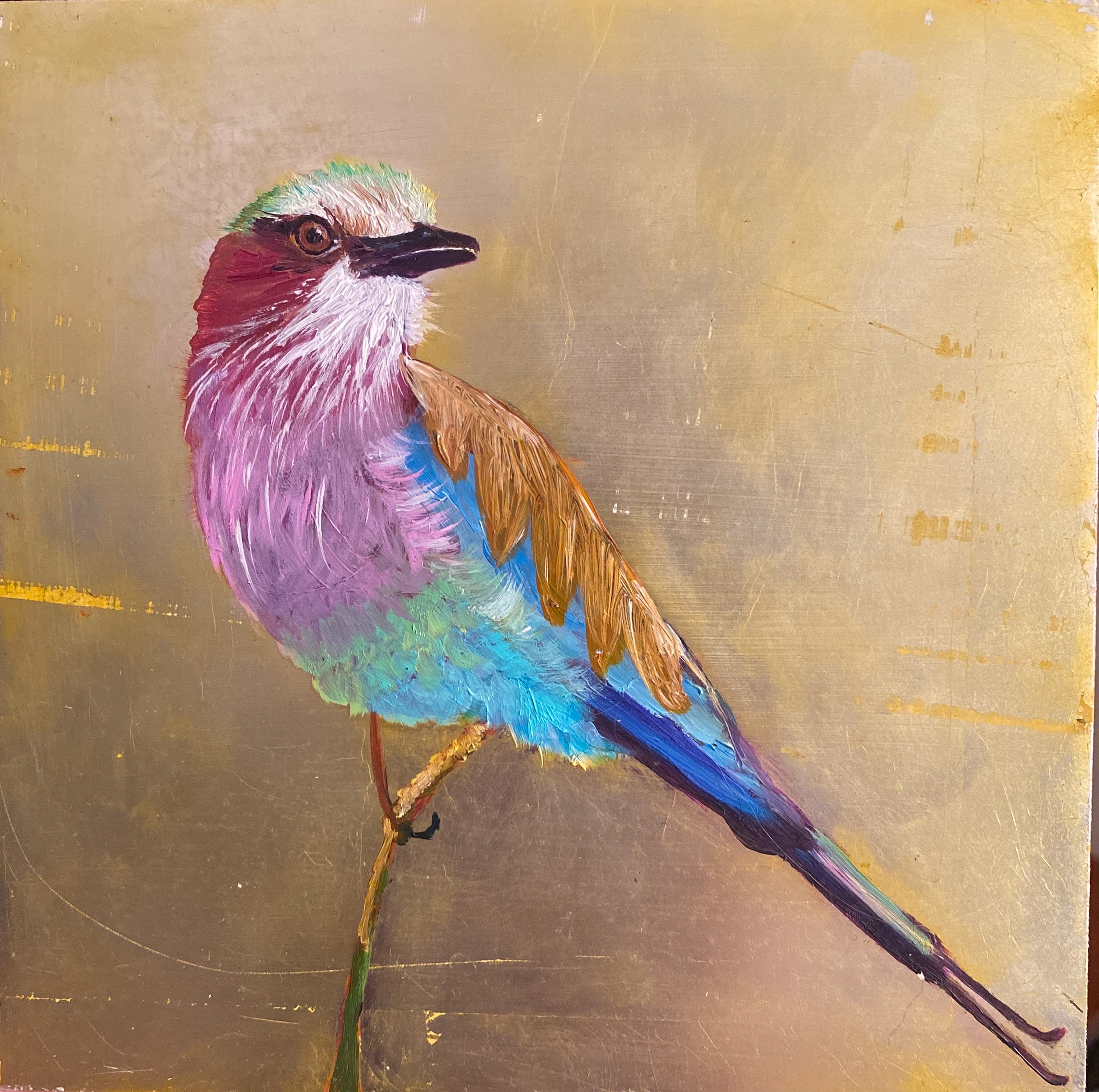 Where Attention Goes, Life Follows   