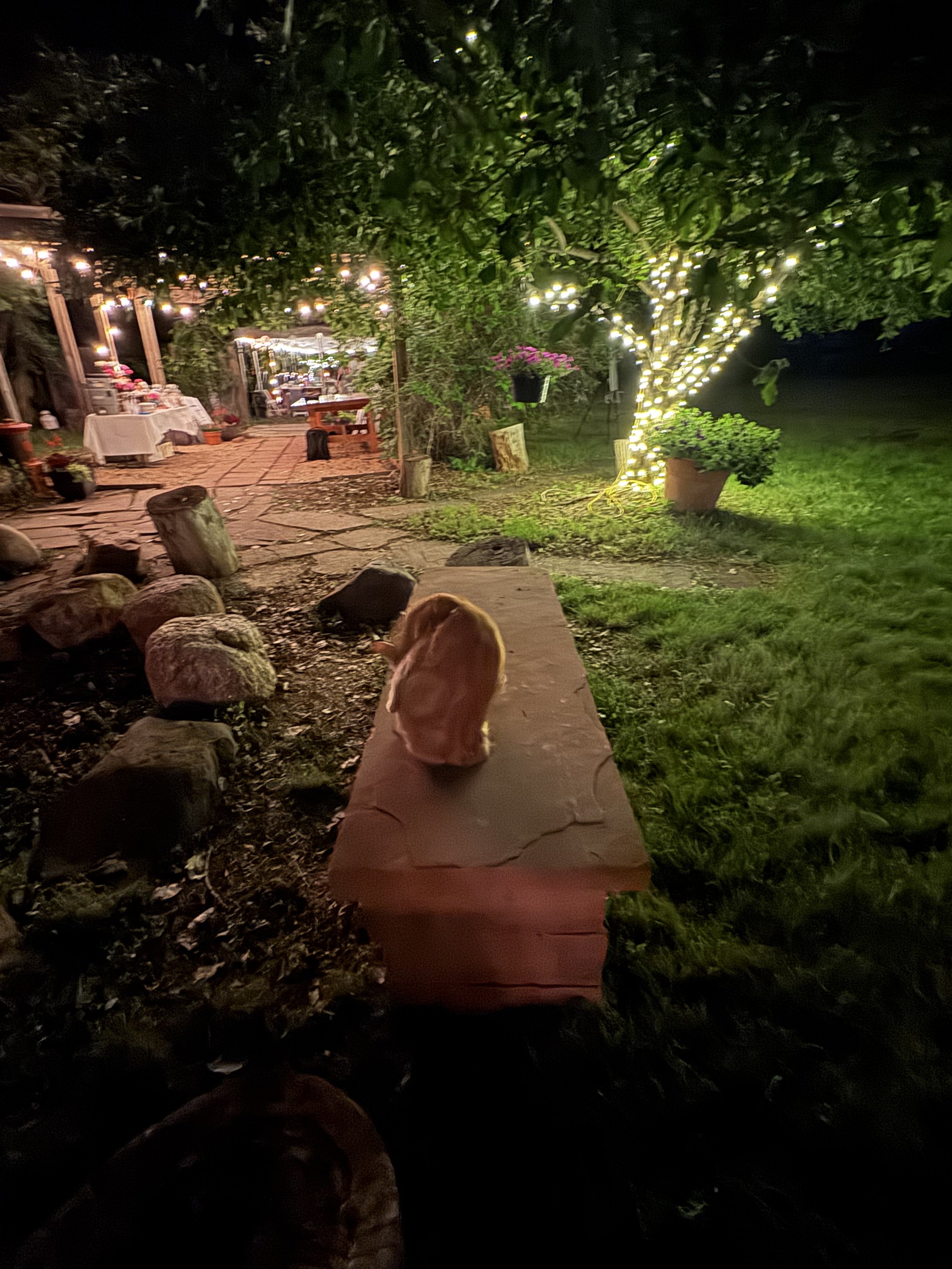 2025-06-07 21.41.05.jpg