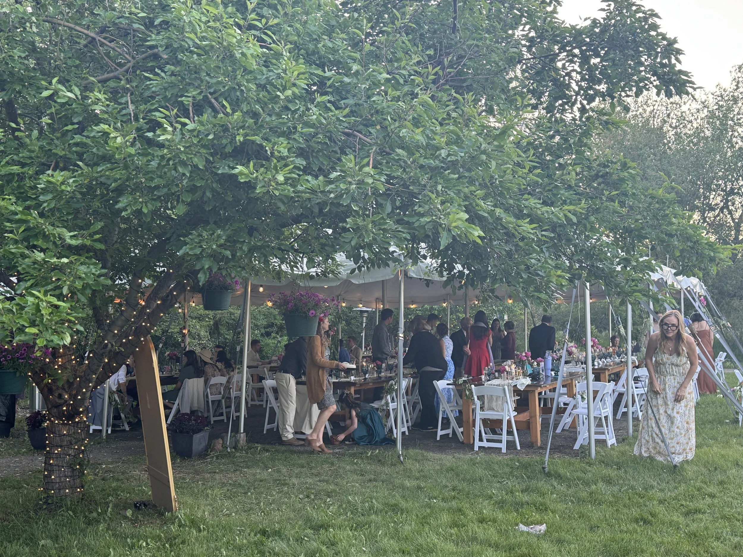 2025-06-07 19.57.51.jpg