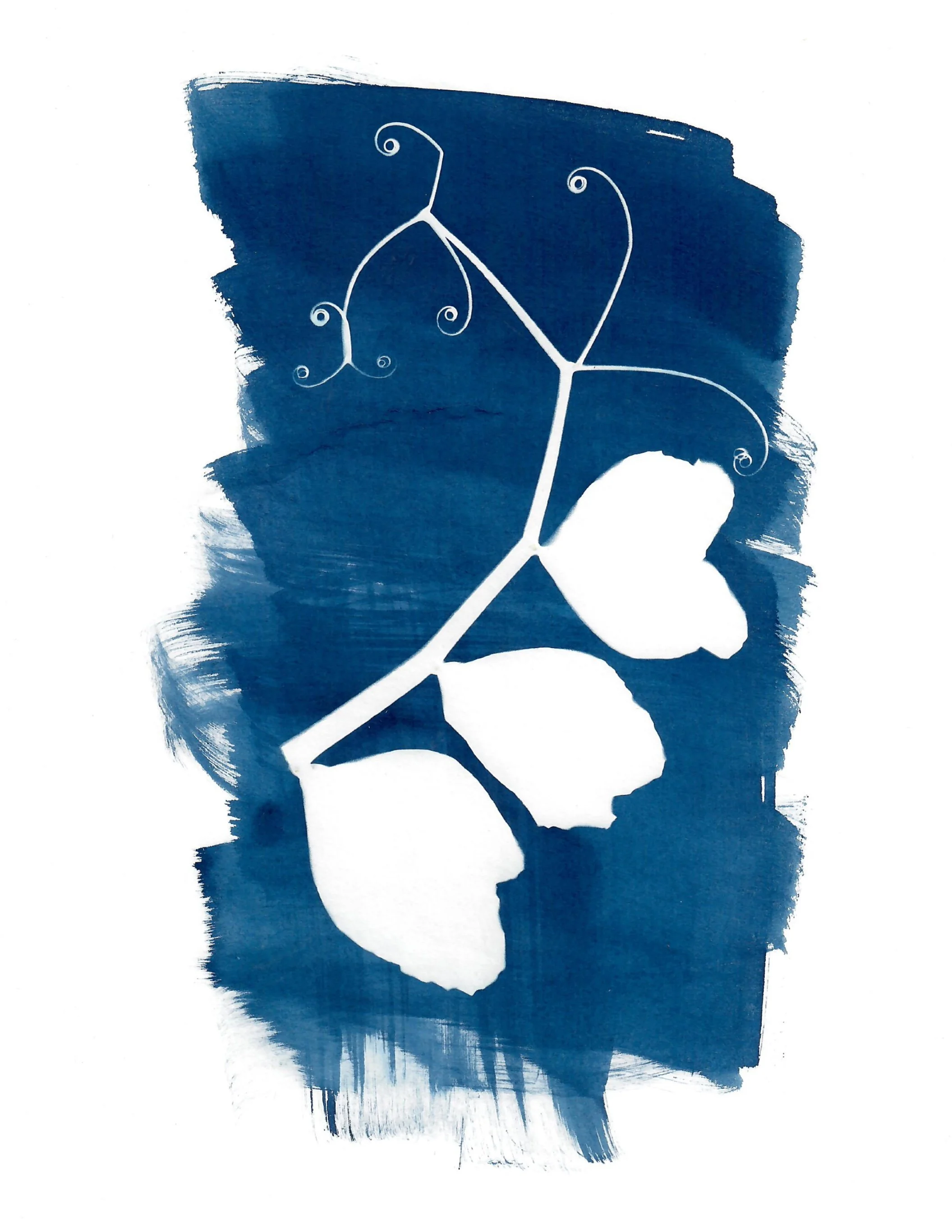 ‘sweet pea butterfly’ 2022