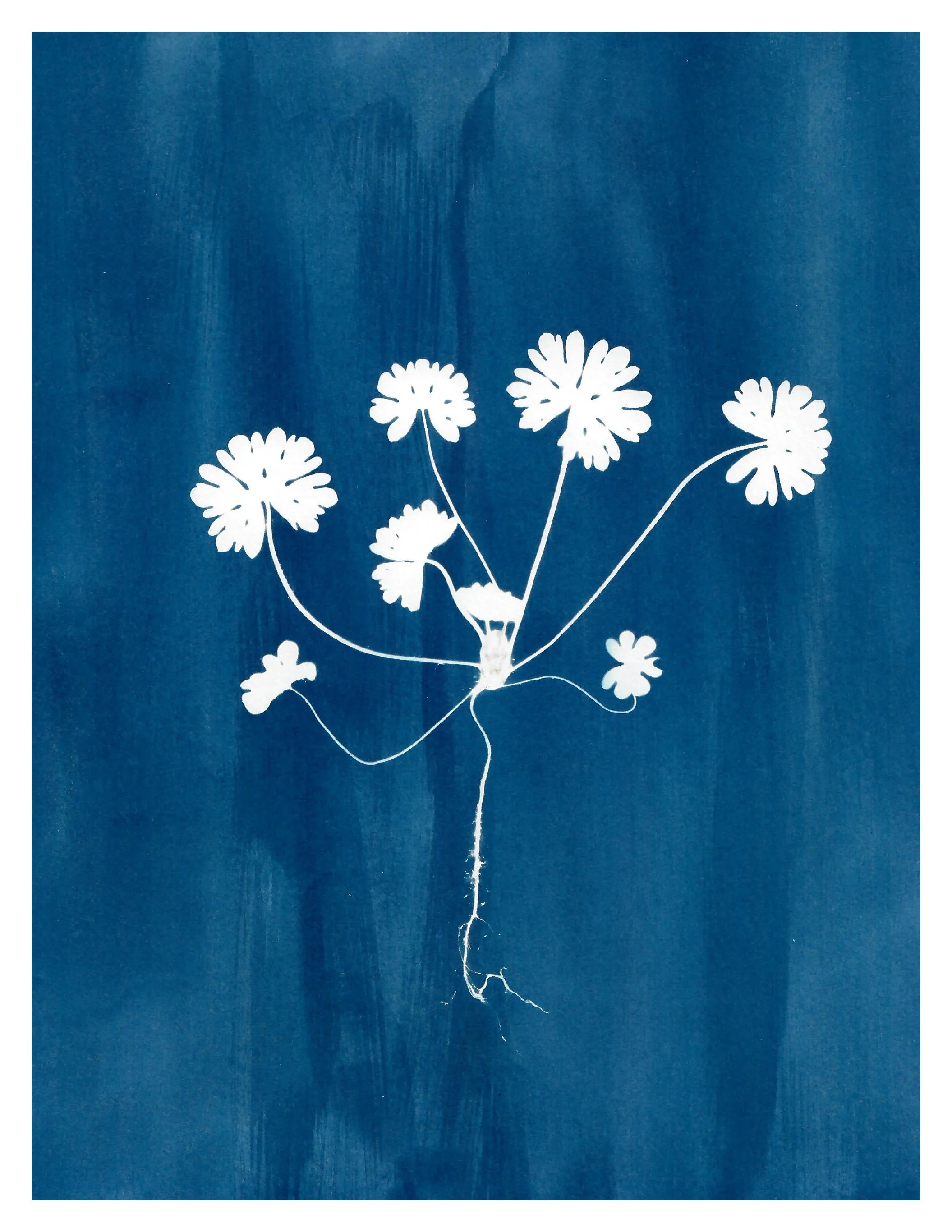 ‘brainstorming’ 2022