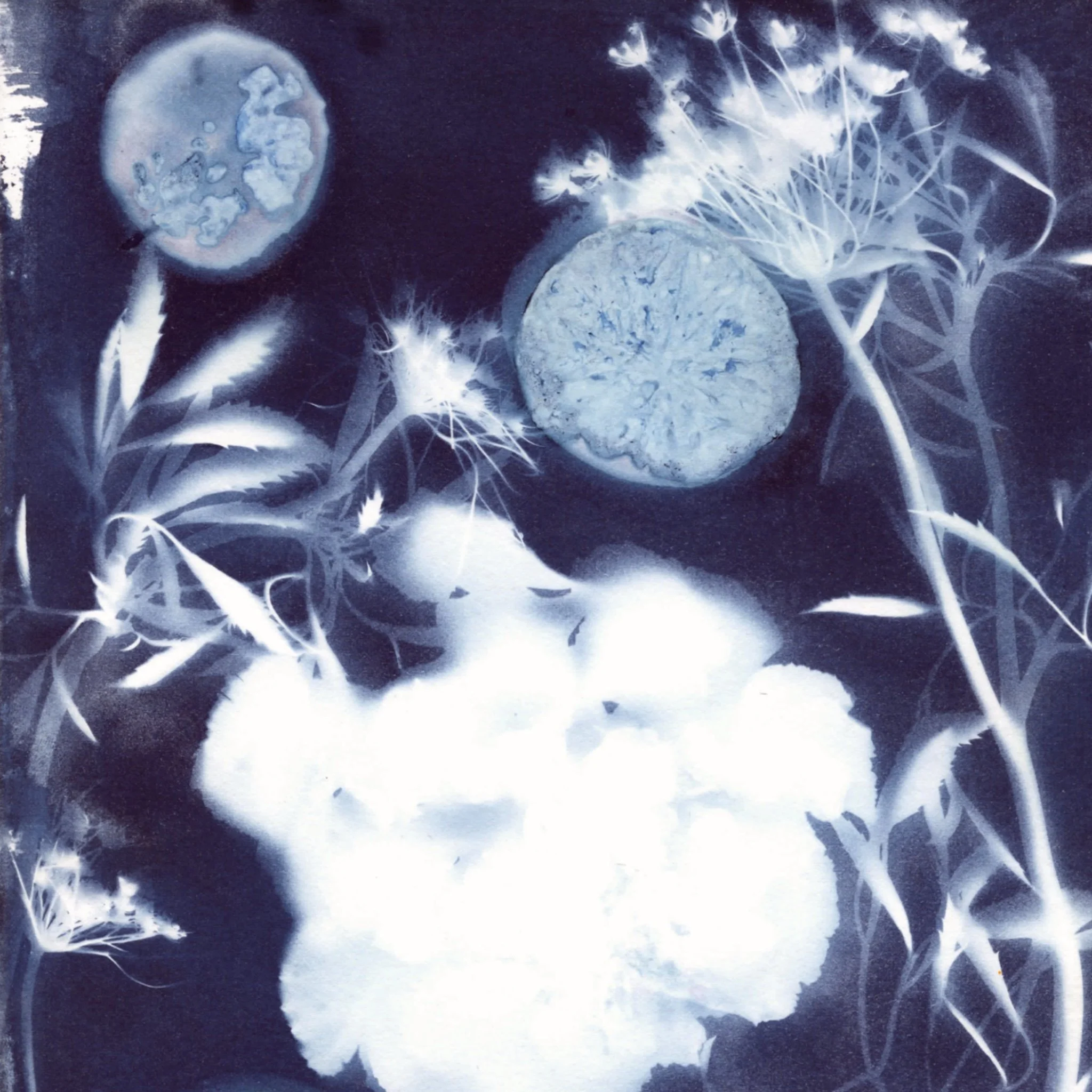 CYANOTYPES