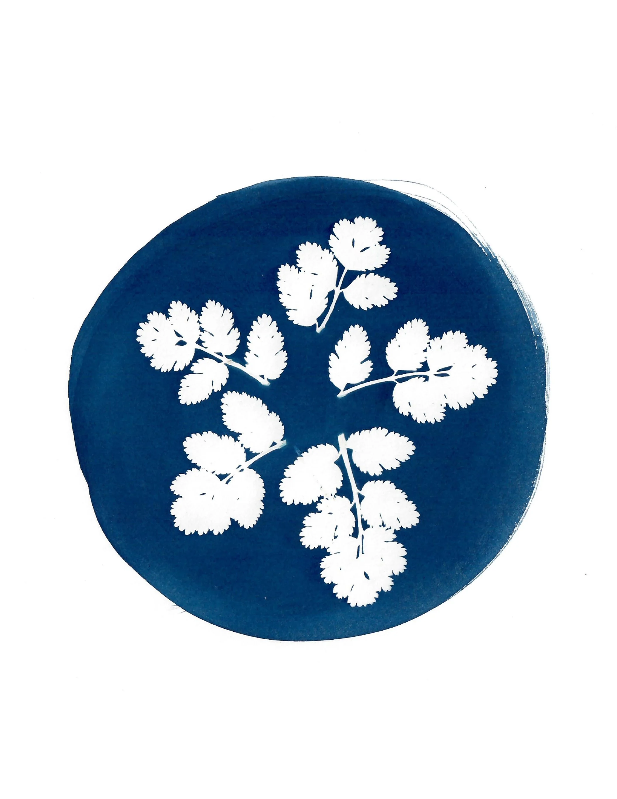 ‘grass dollar’ 2022