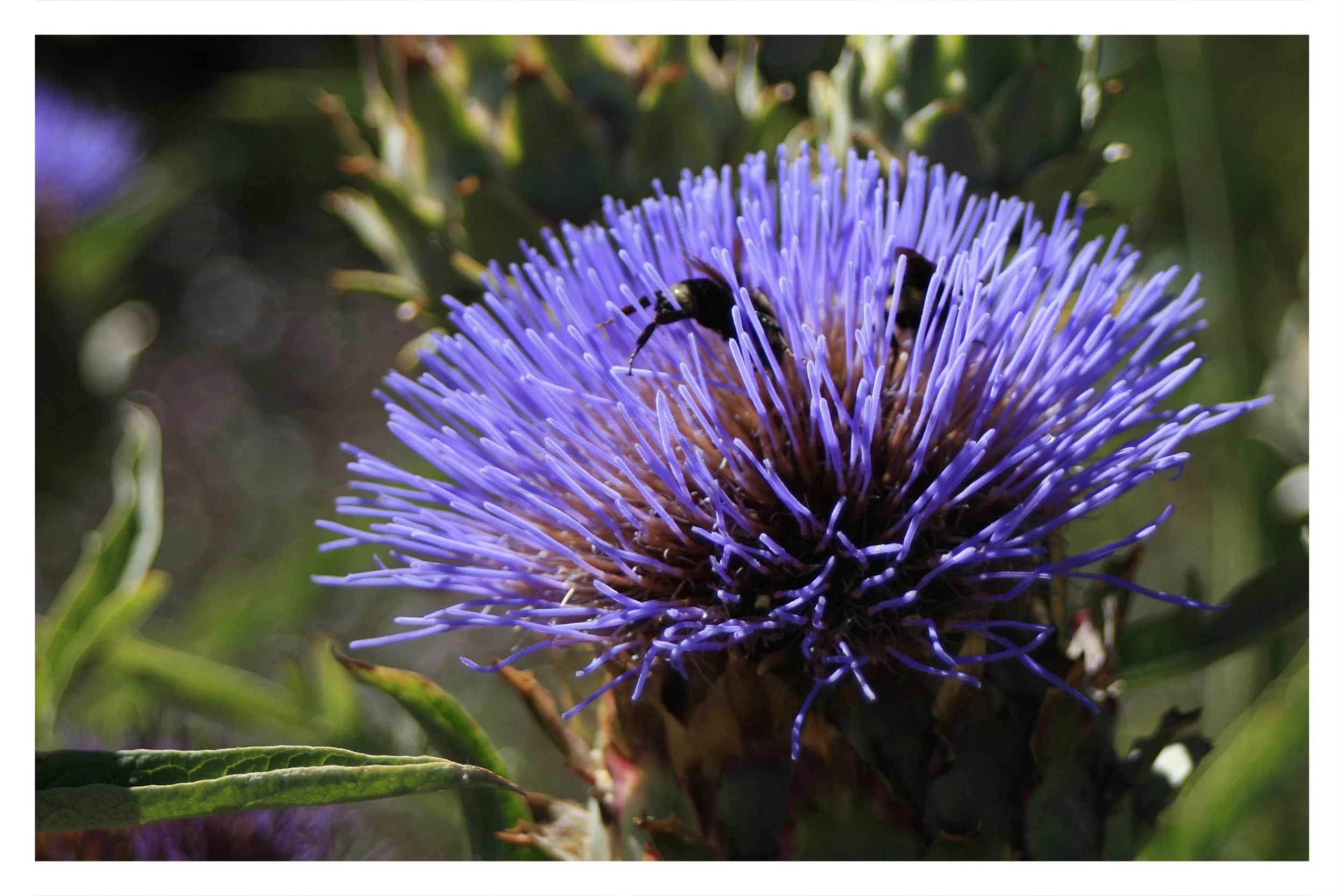 the gardens @ lake merritt - OAKLAND, CA - 2019