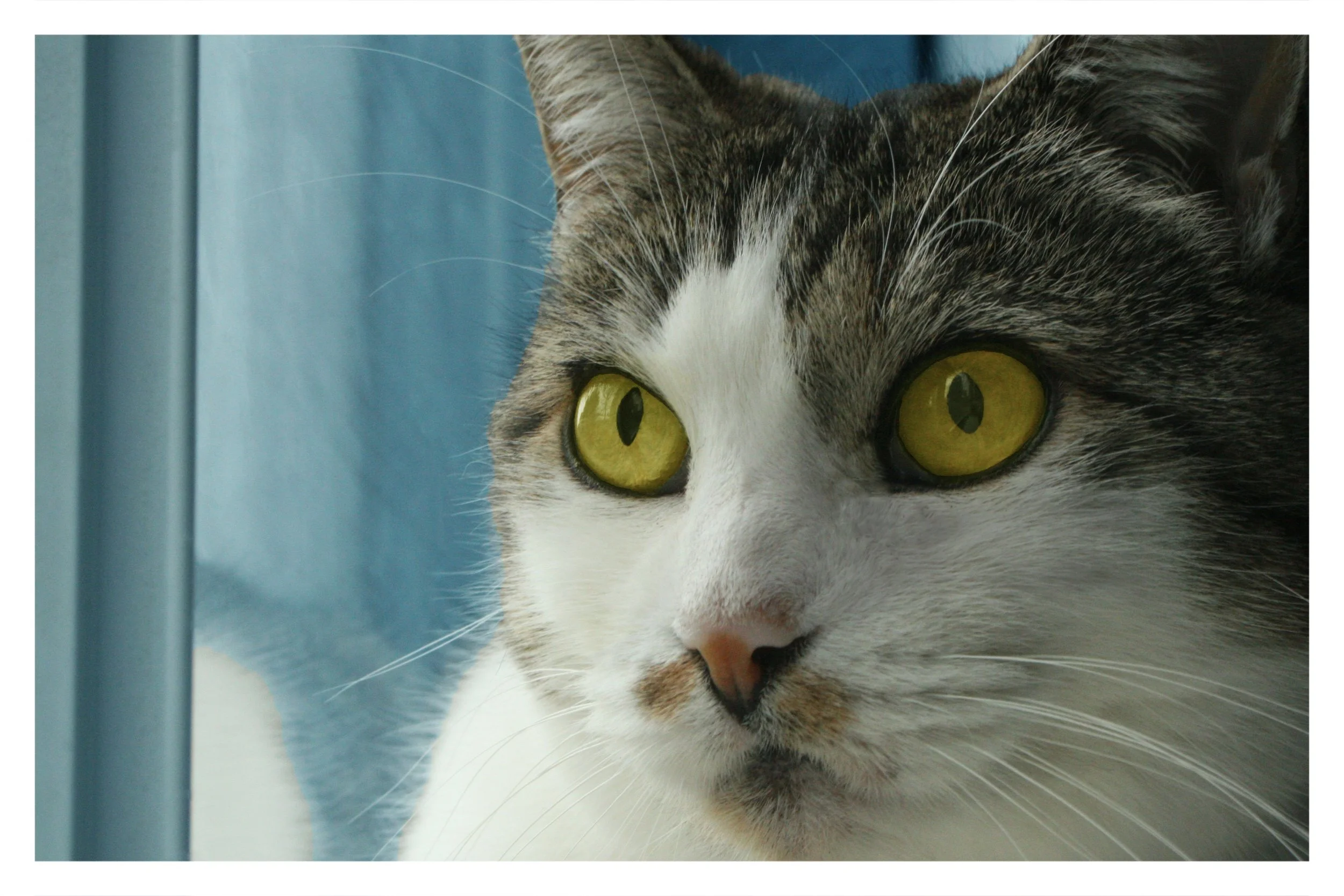 ELK GROVE, CA - 2013