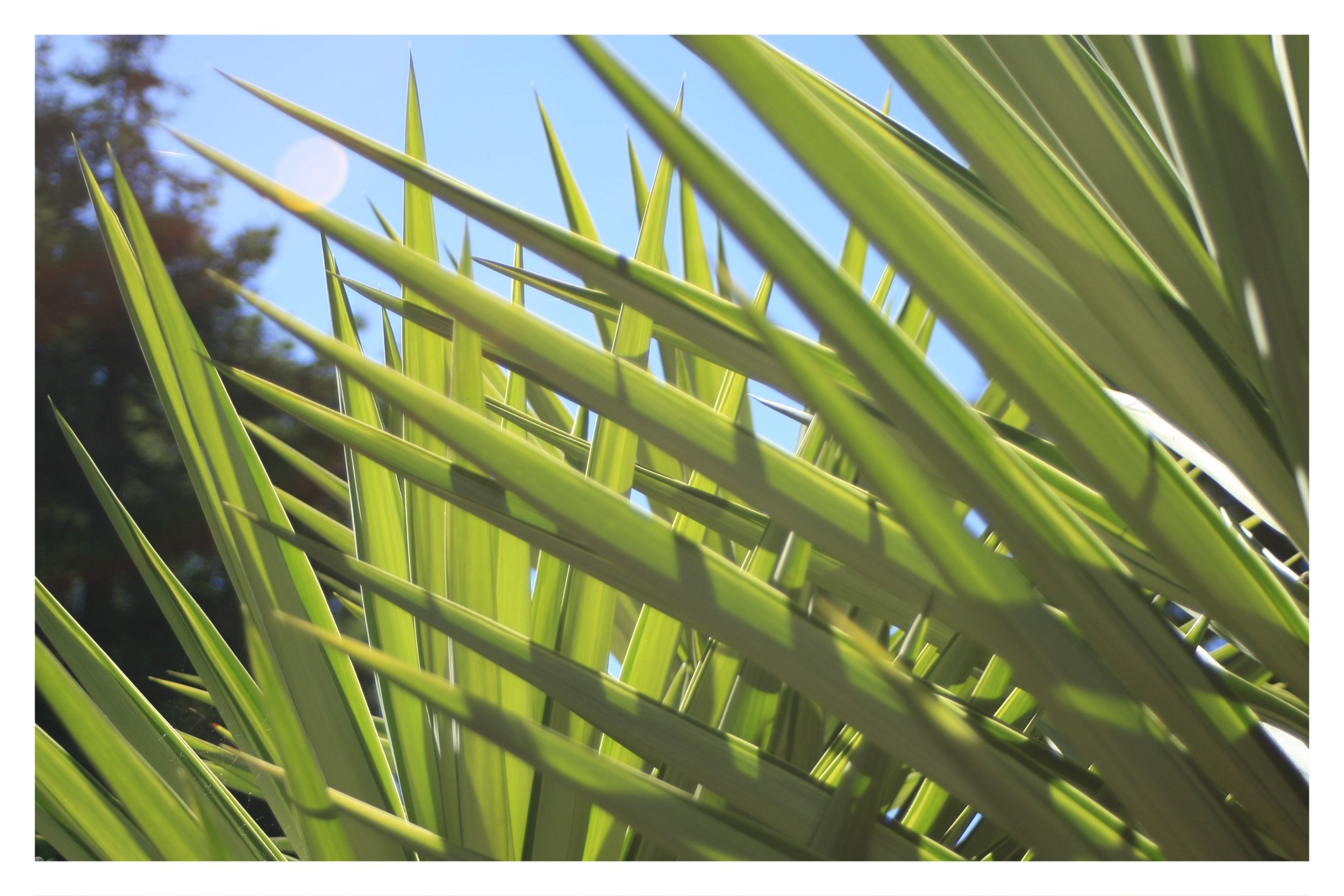 the gardens @ lake merritt - OAKLAND, CA - 2019