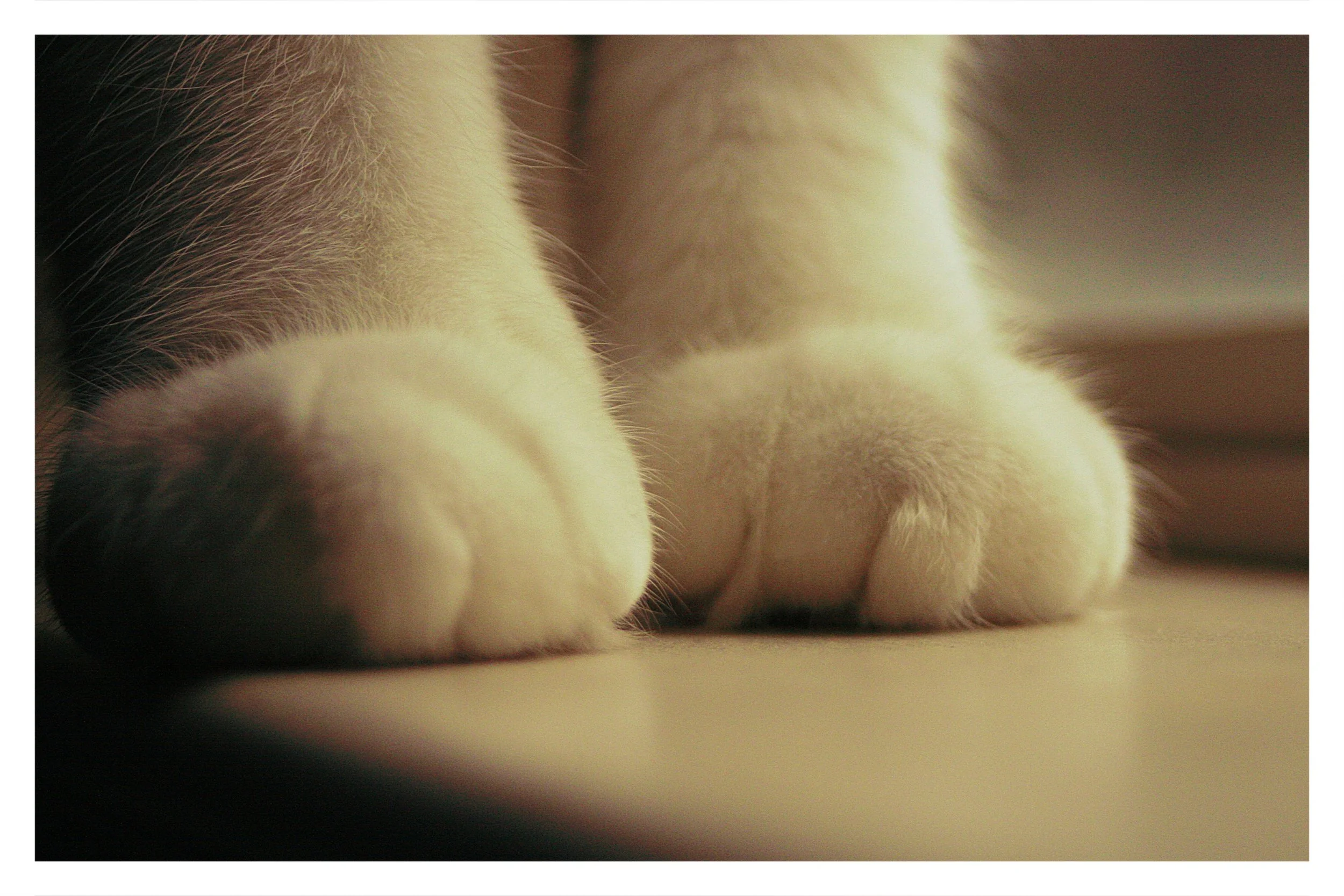 ELK GROVE, CA - 2013