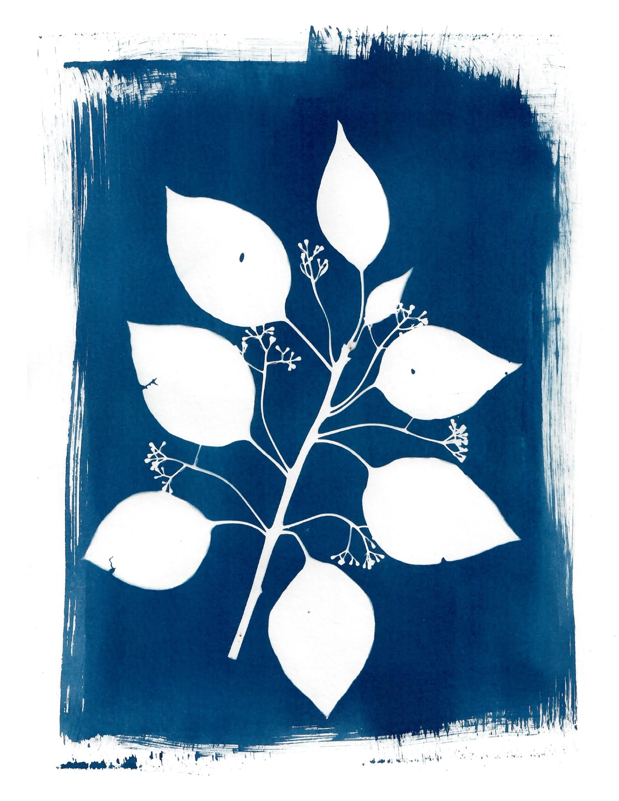 ‘branch out’ 2022