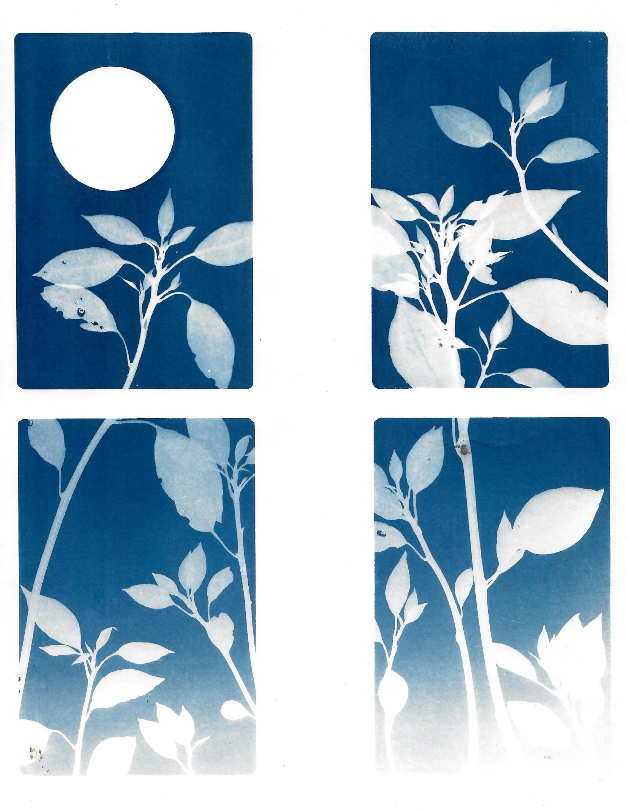 ‘transcendent’ 2022