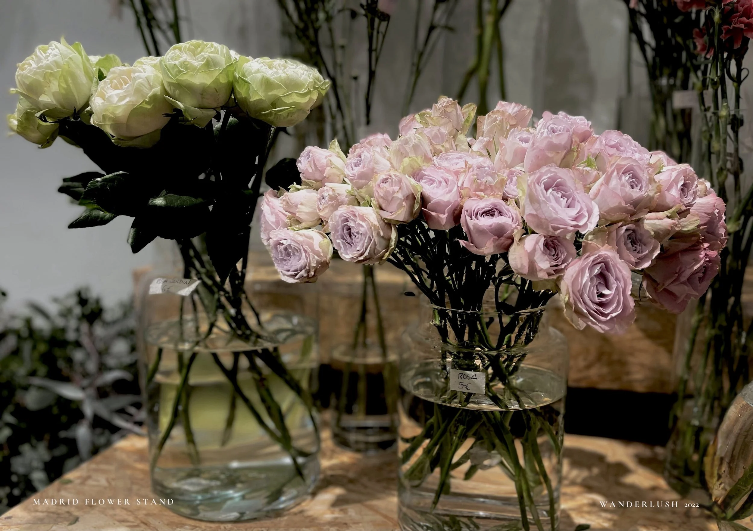 madridflowers3.jpeg