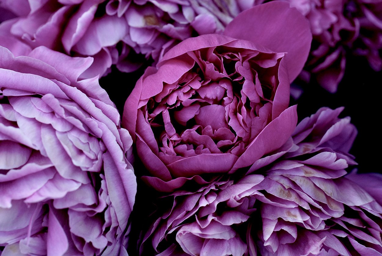 _DSC0124.jpeg