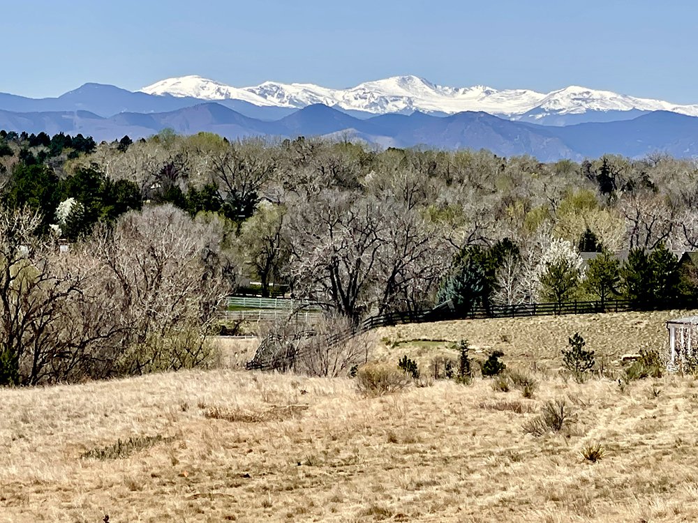 colo-home.jpeg