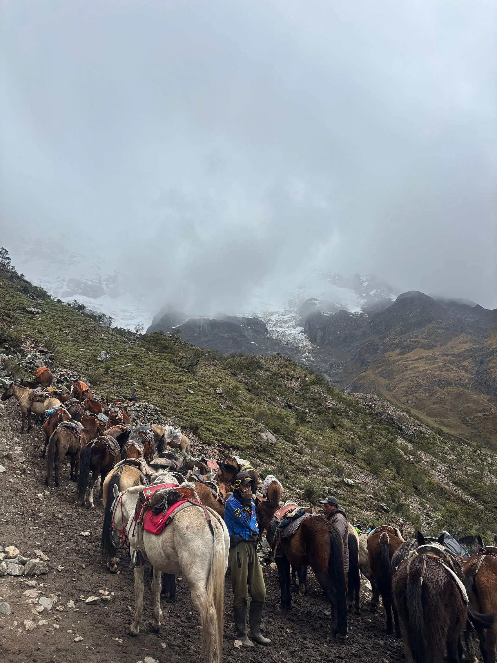 Horses carry provisions and equipment allowing participants to trek lightly