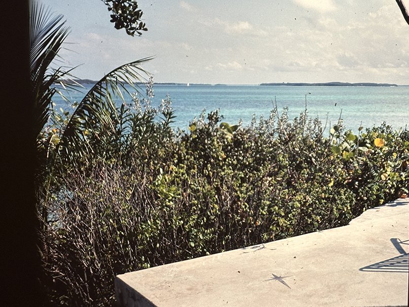 Dad's photo was taken in the 1970s.