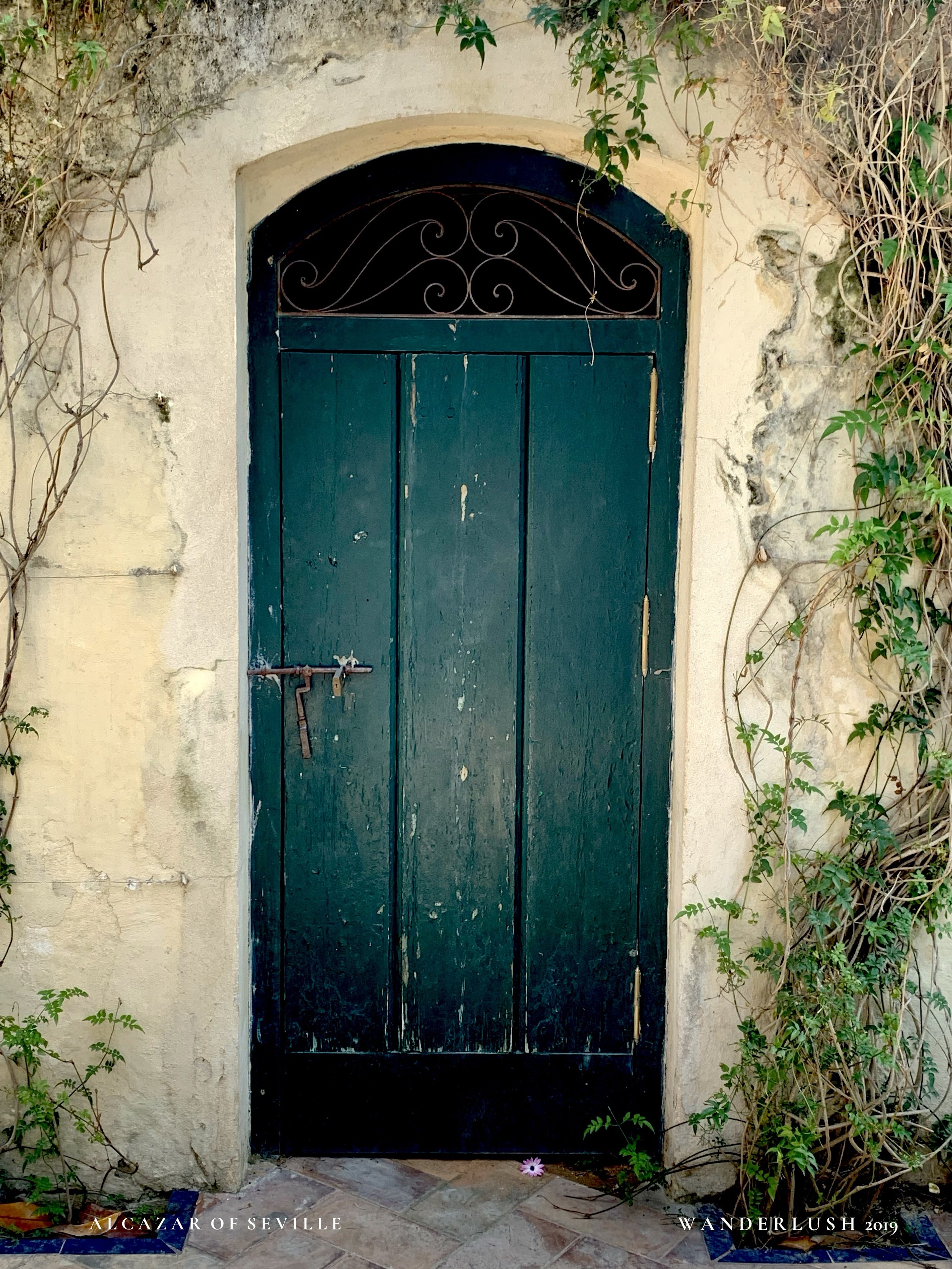 No. 06 DOORS OF THE WORLD