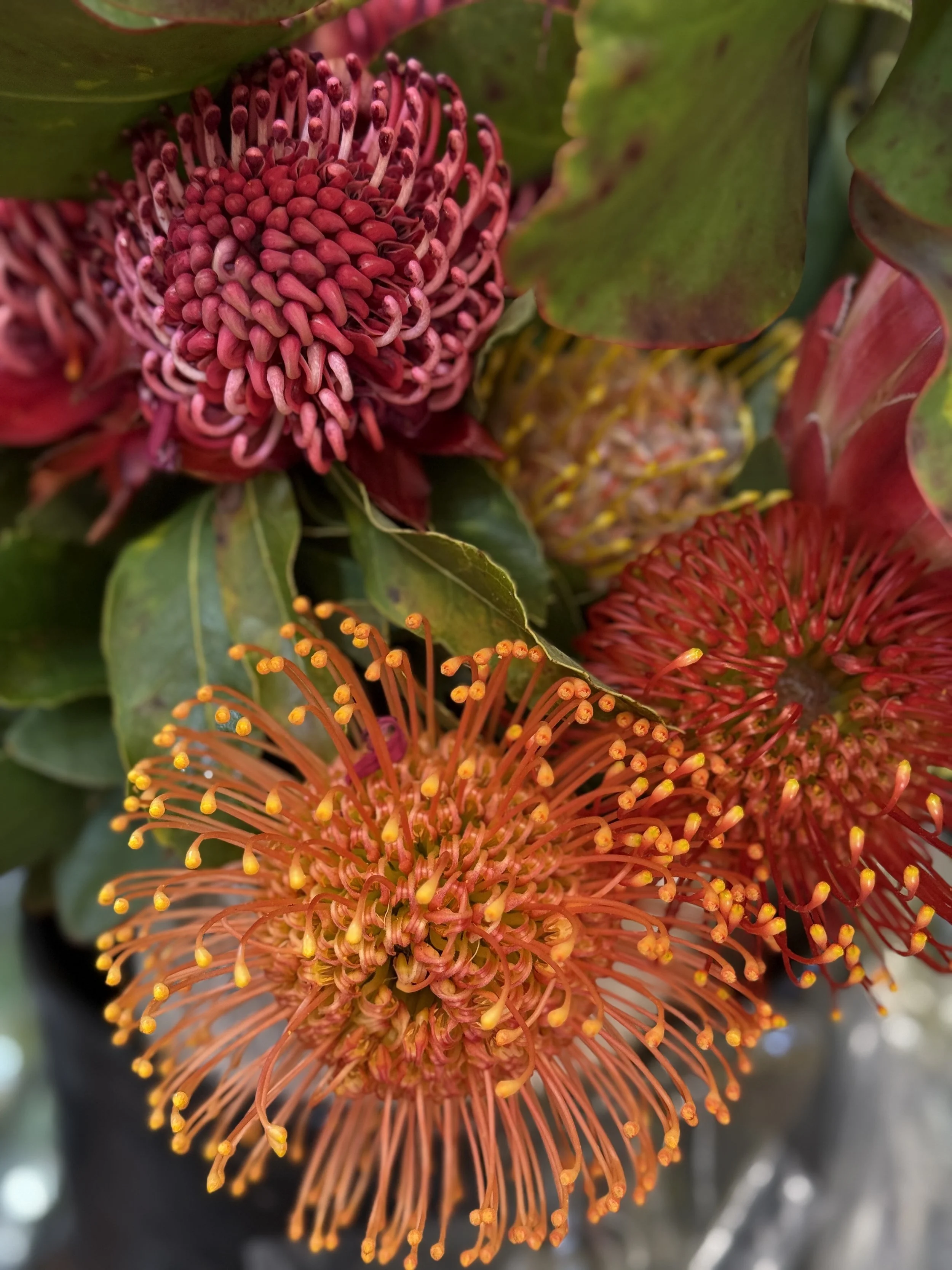 No. 05 PERUVIAN FLOWERS