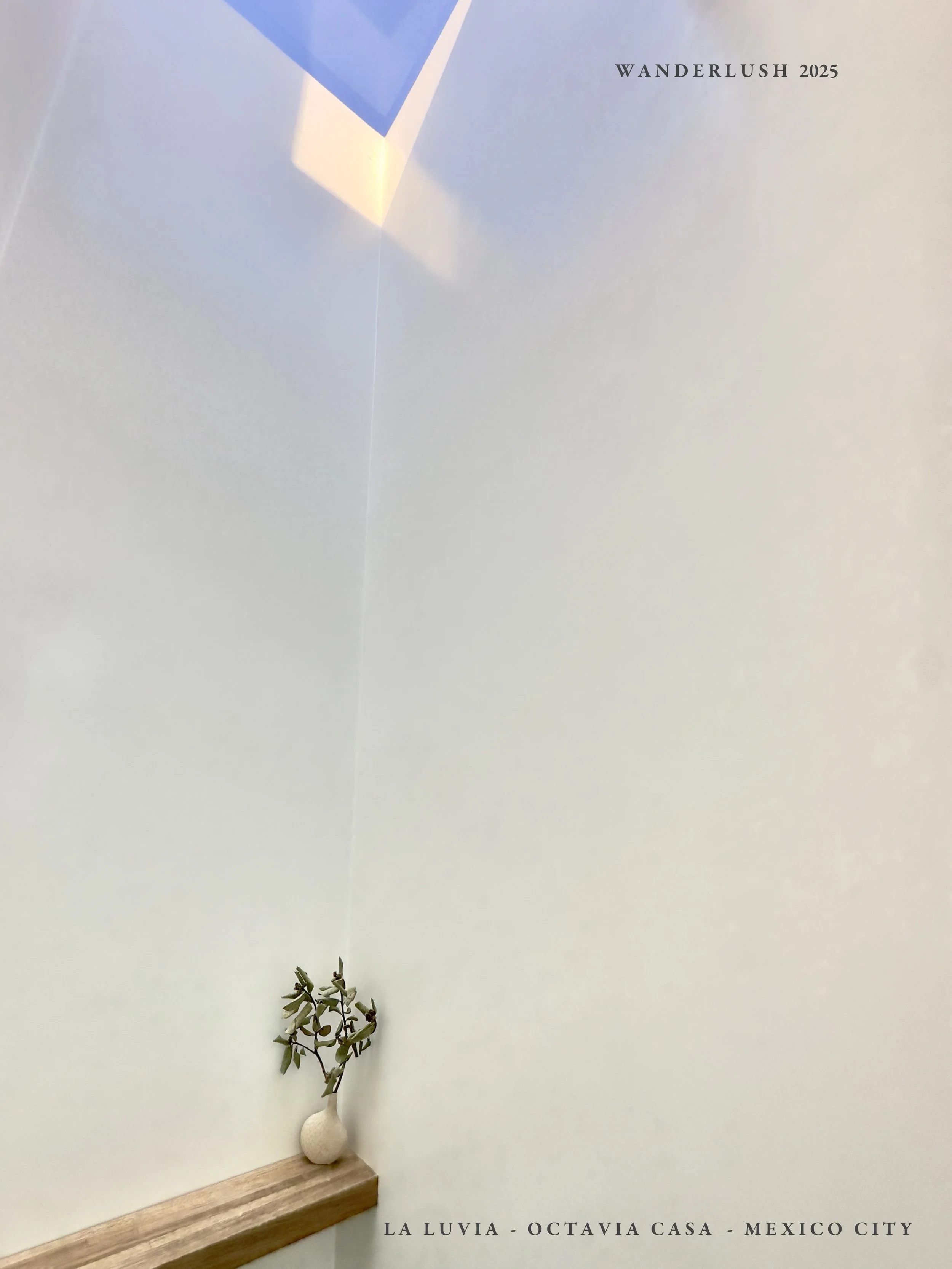 IMG_1304.jpeg