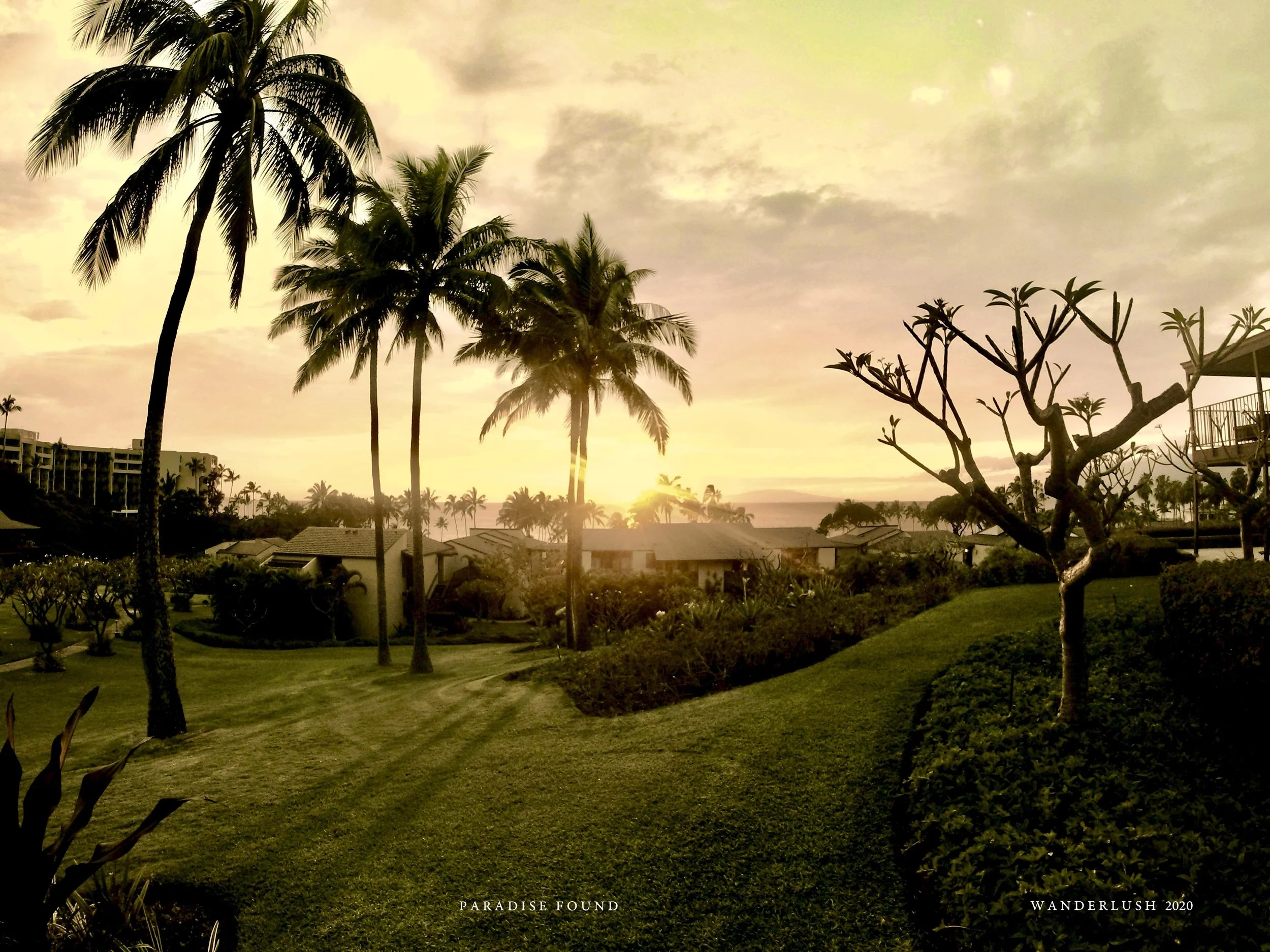 GOPR0736-1.jpg