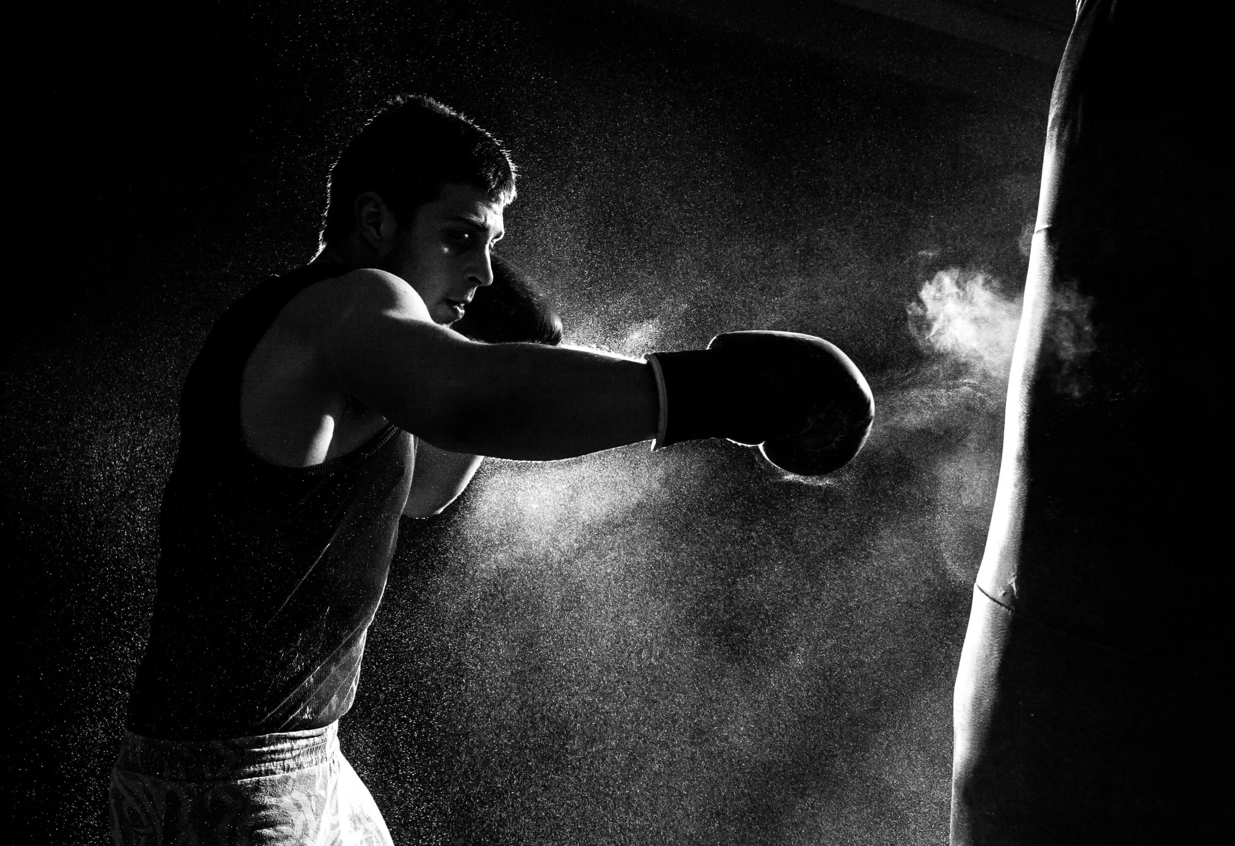 A boxer training