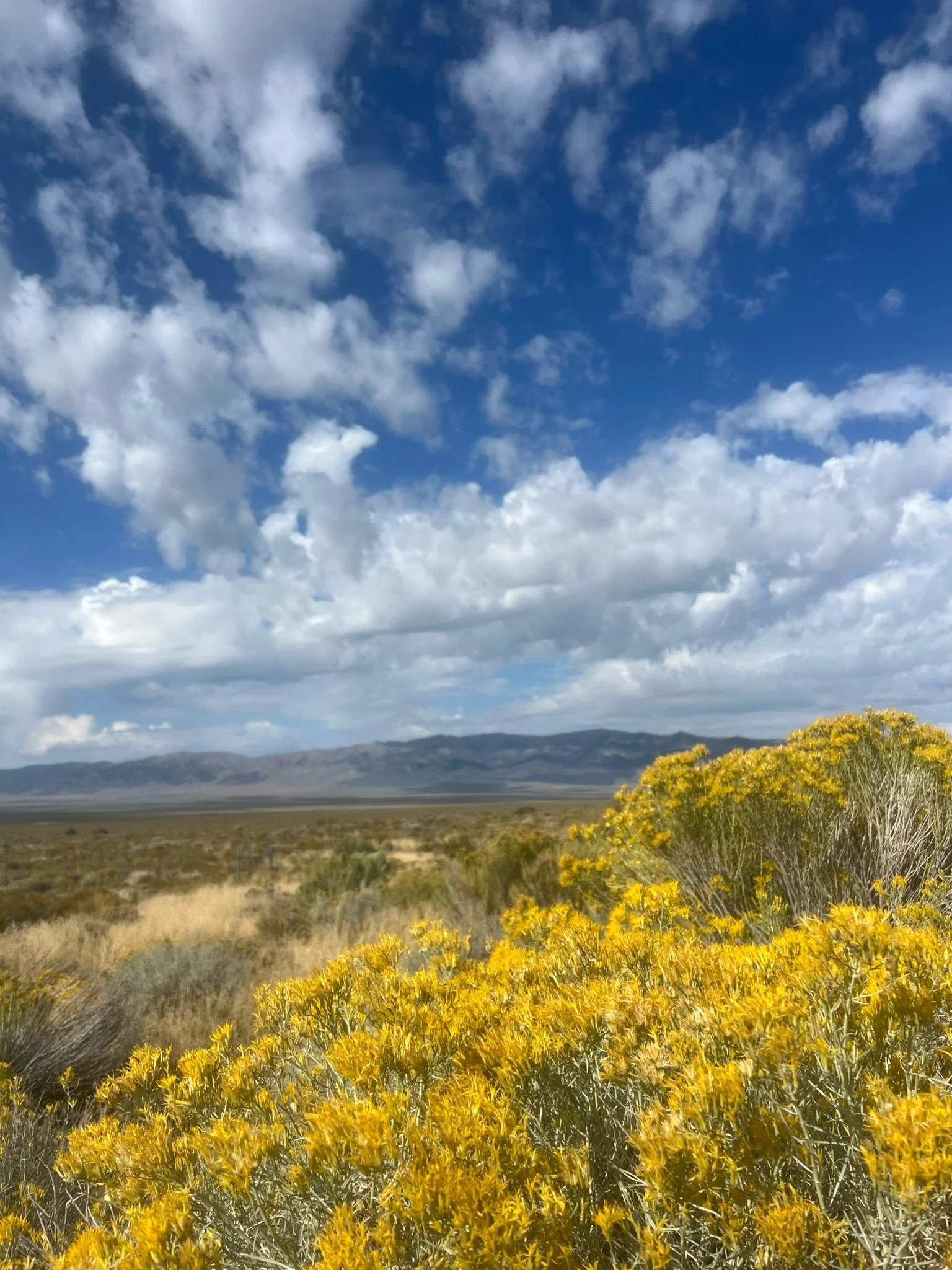 How to Run a Promotion Your                        Audience Actually Responds To