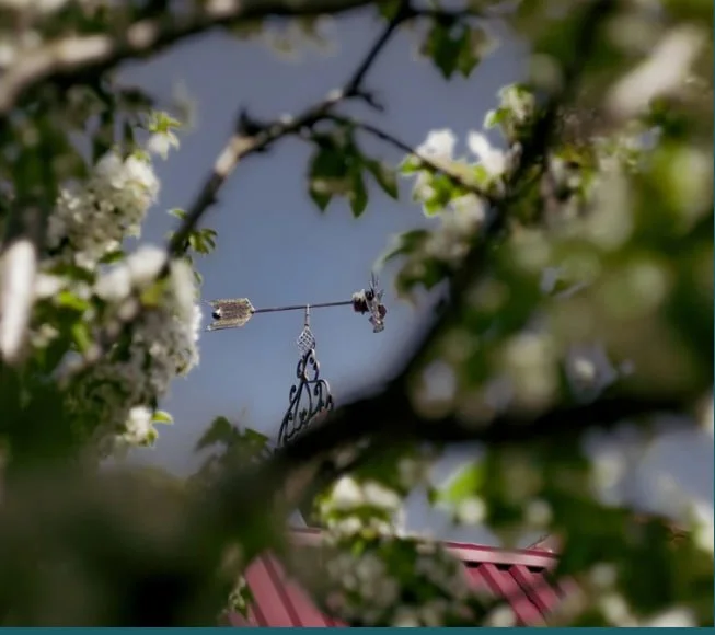 How To Build A Brand Ambassador Program That Actually Drives Growth