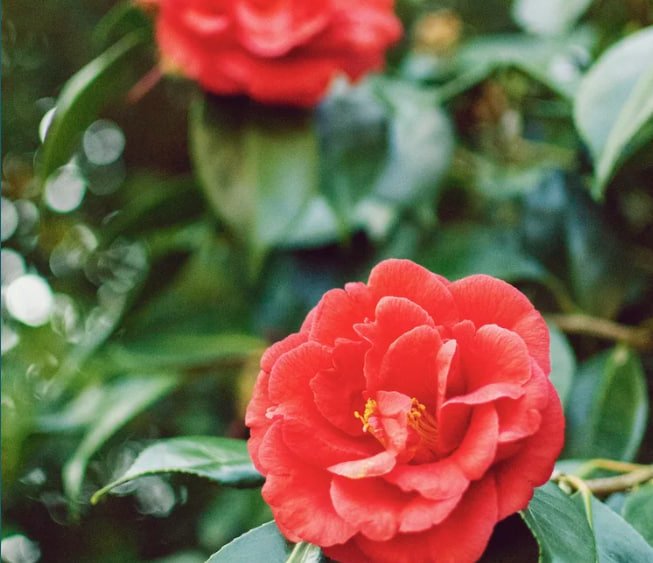 The Best Way To Optimize Your Referrals