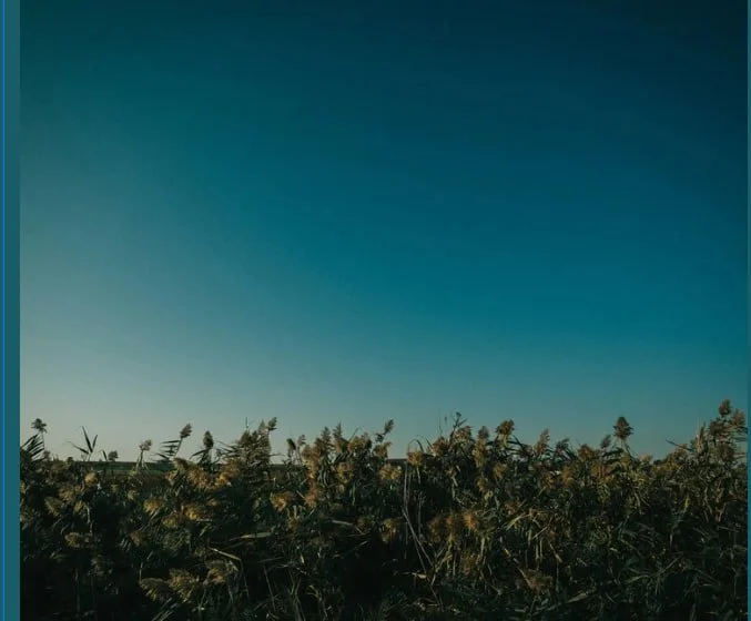 Why Some Customers Are Leaving Your Website Without Signing Up