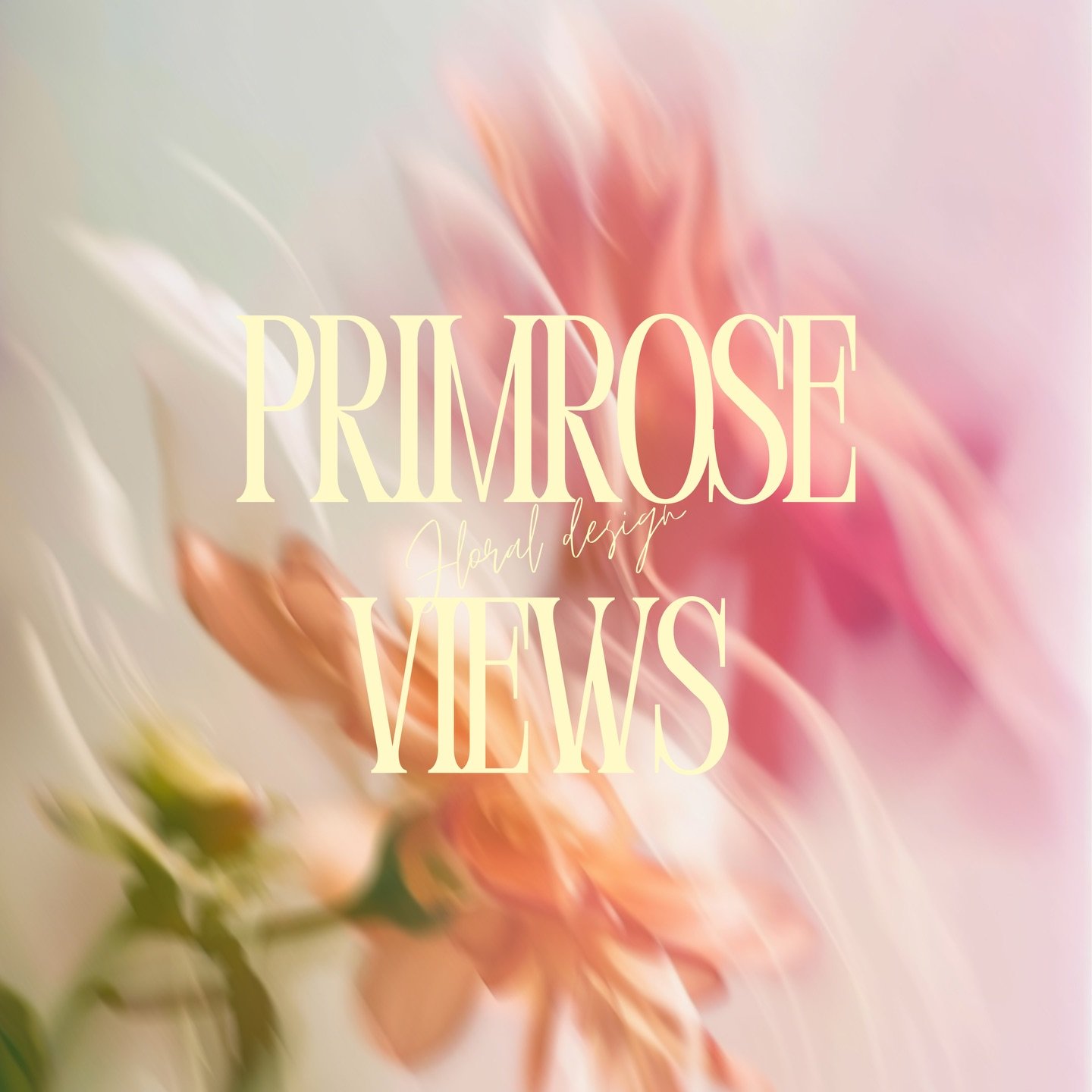 New logo design and I&rsquo;m loving it ✨🐝🌷🌸
So excited for what&rsquo;s blooming this season! 

If you&rsquo;re a 2026 or 2027 bride and you&rsquo;re still looking for a florist, inquire today 🤍

#missoulaflorist #weddingflorist #montanabride #2