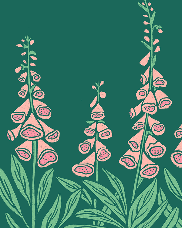 FOXGLOVES_FORWEB.png