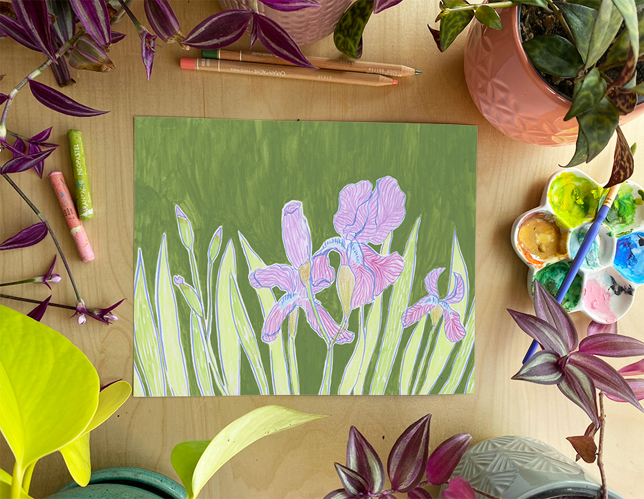 IRIS_PRINTFORWEB.png