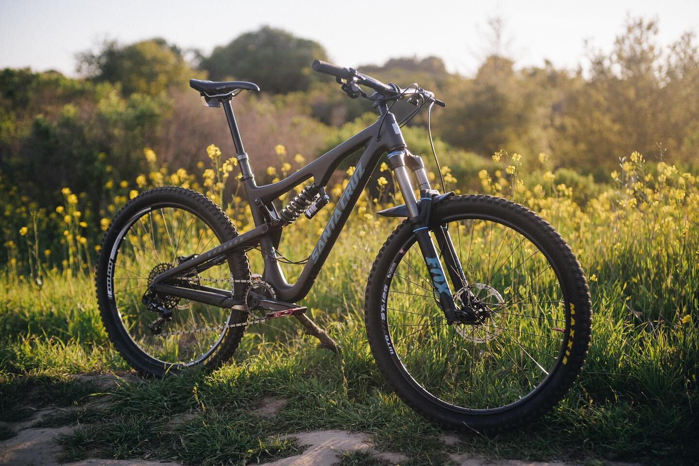 Spring (get it cause it&rsquo;s got a coil shock but also the season)