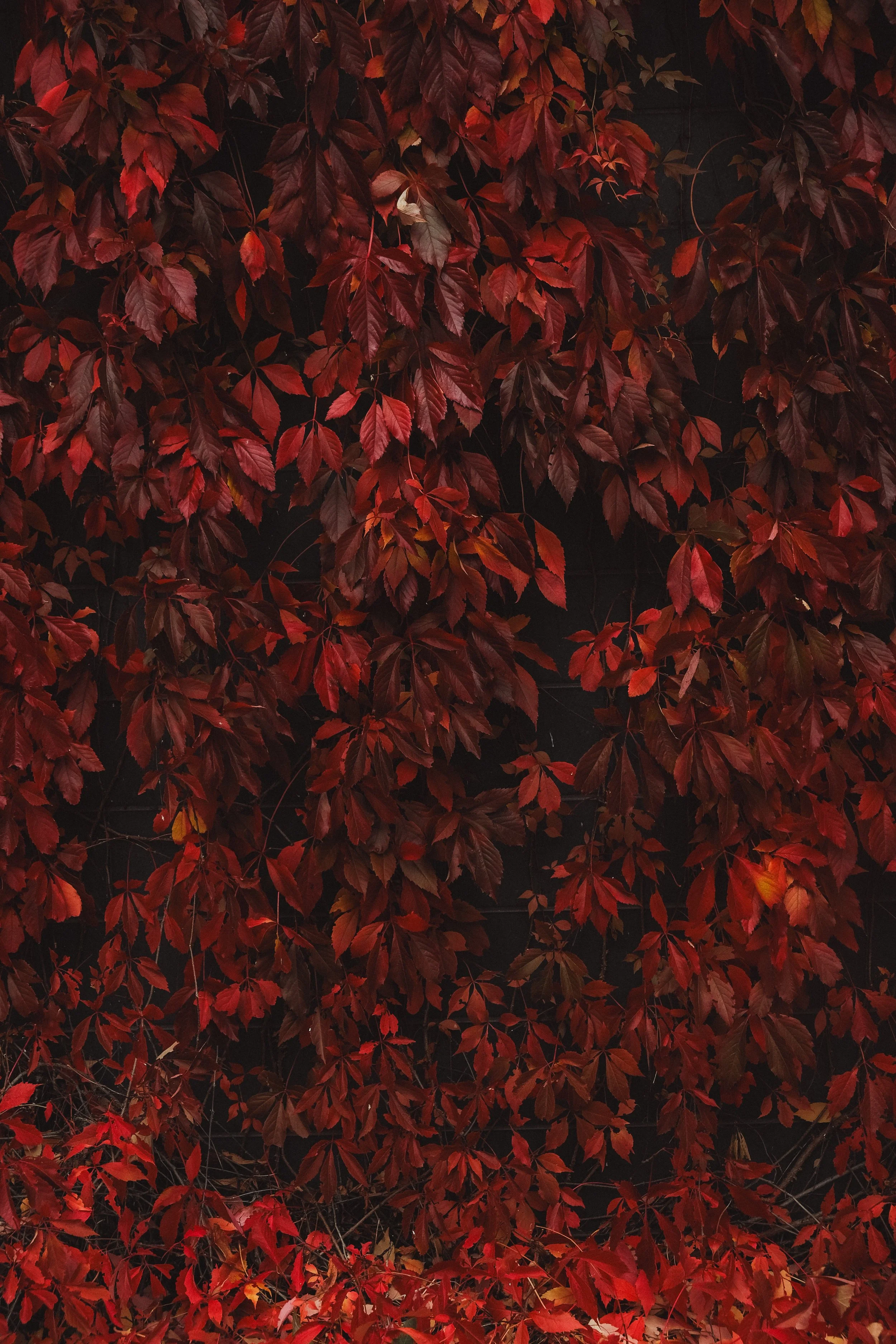 DSCF3900.jpeg