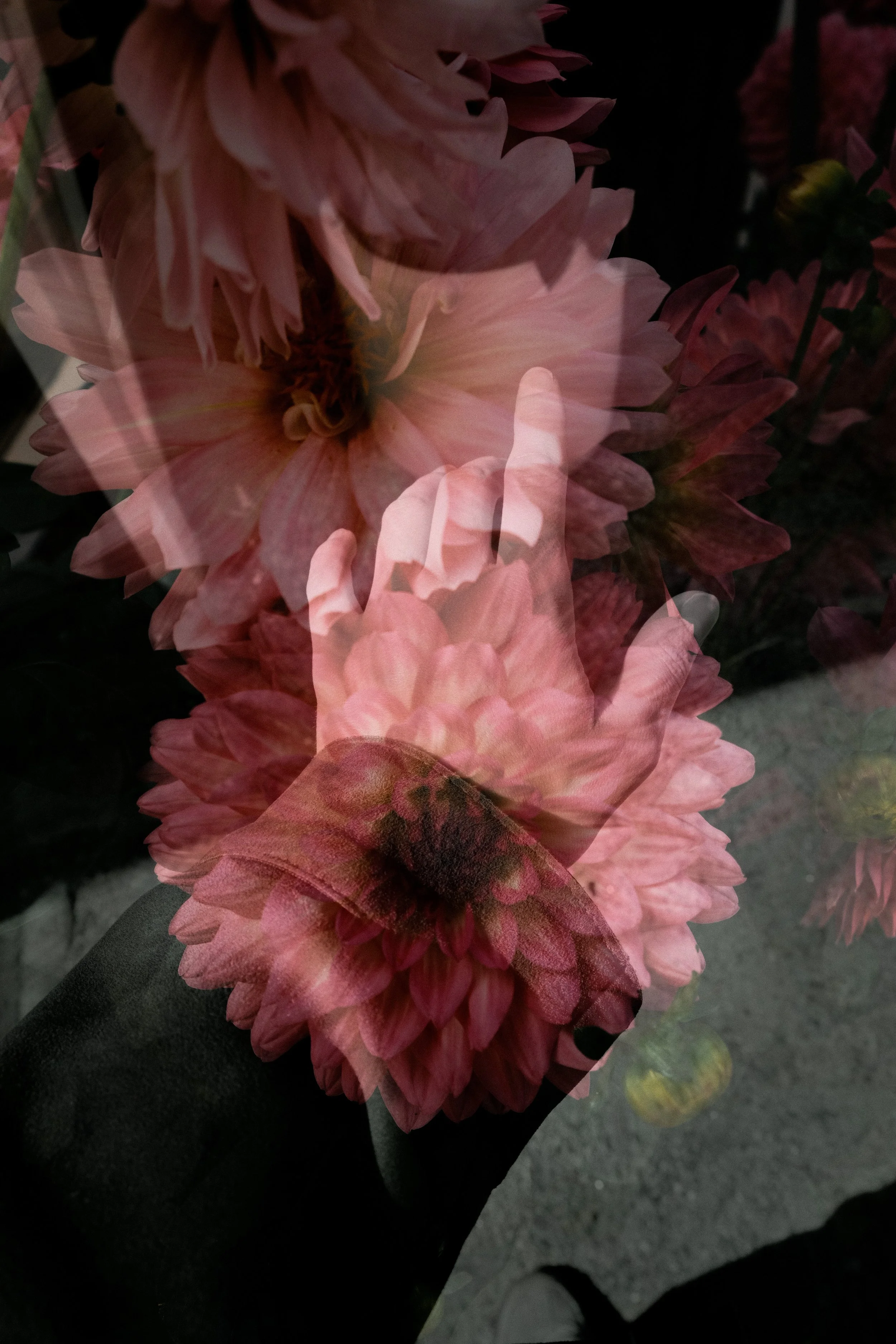 _DSF5116.JPG