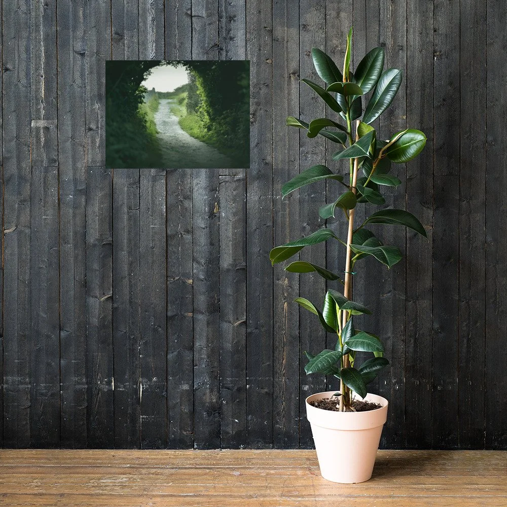 enhanced-matte-paper-poster-(in)-18x24-lifestyle-2-625ebac639744.jpg
