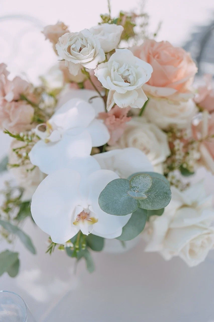 0405 - dimensioni grandi.jpeg