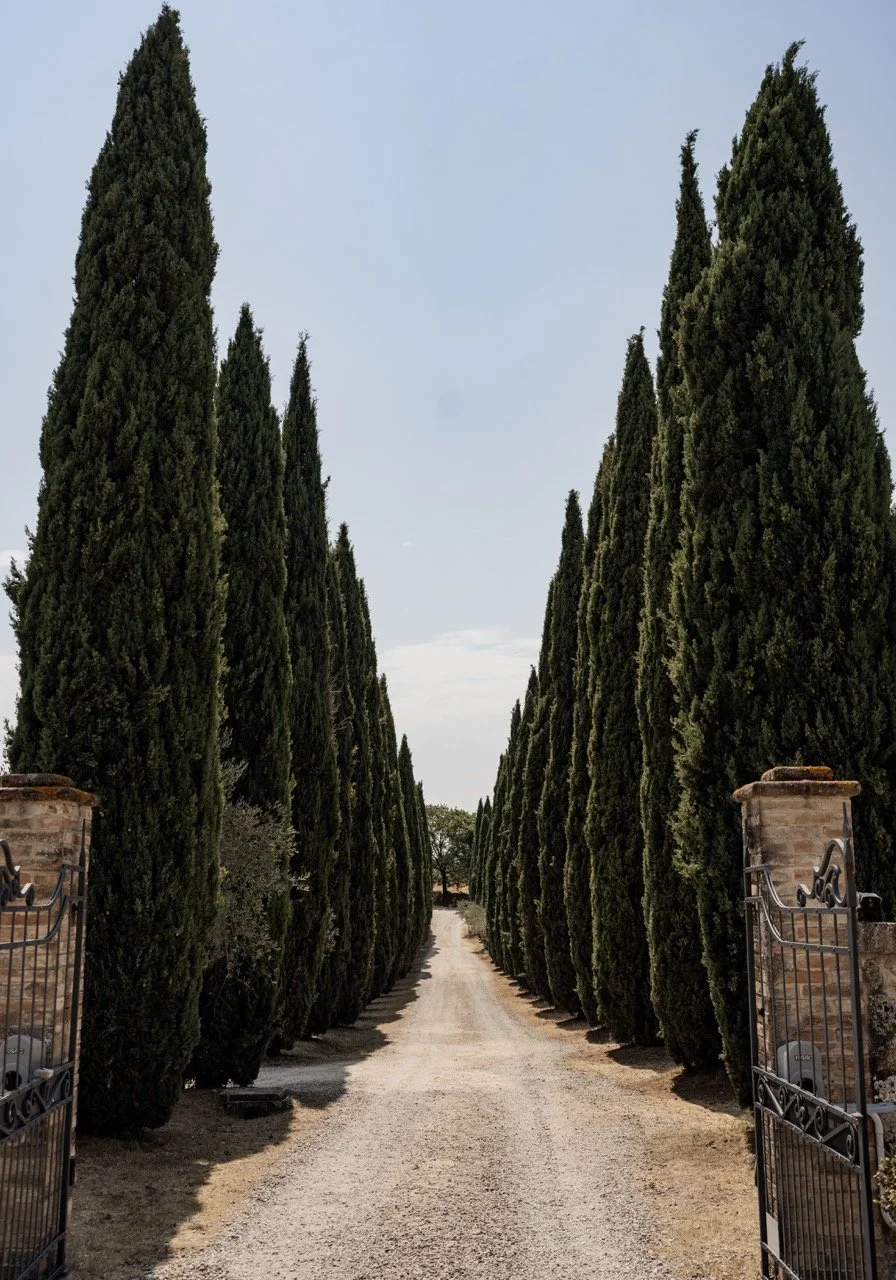 OonaMax-1(6) - dimensioni grandi.jpeg