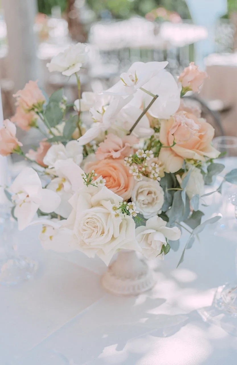 0427 - dimensioni grandi.jpeg