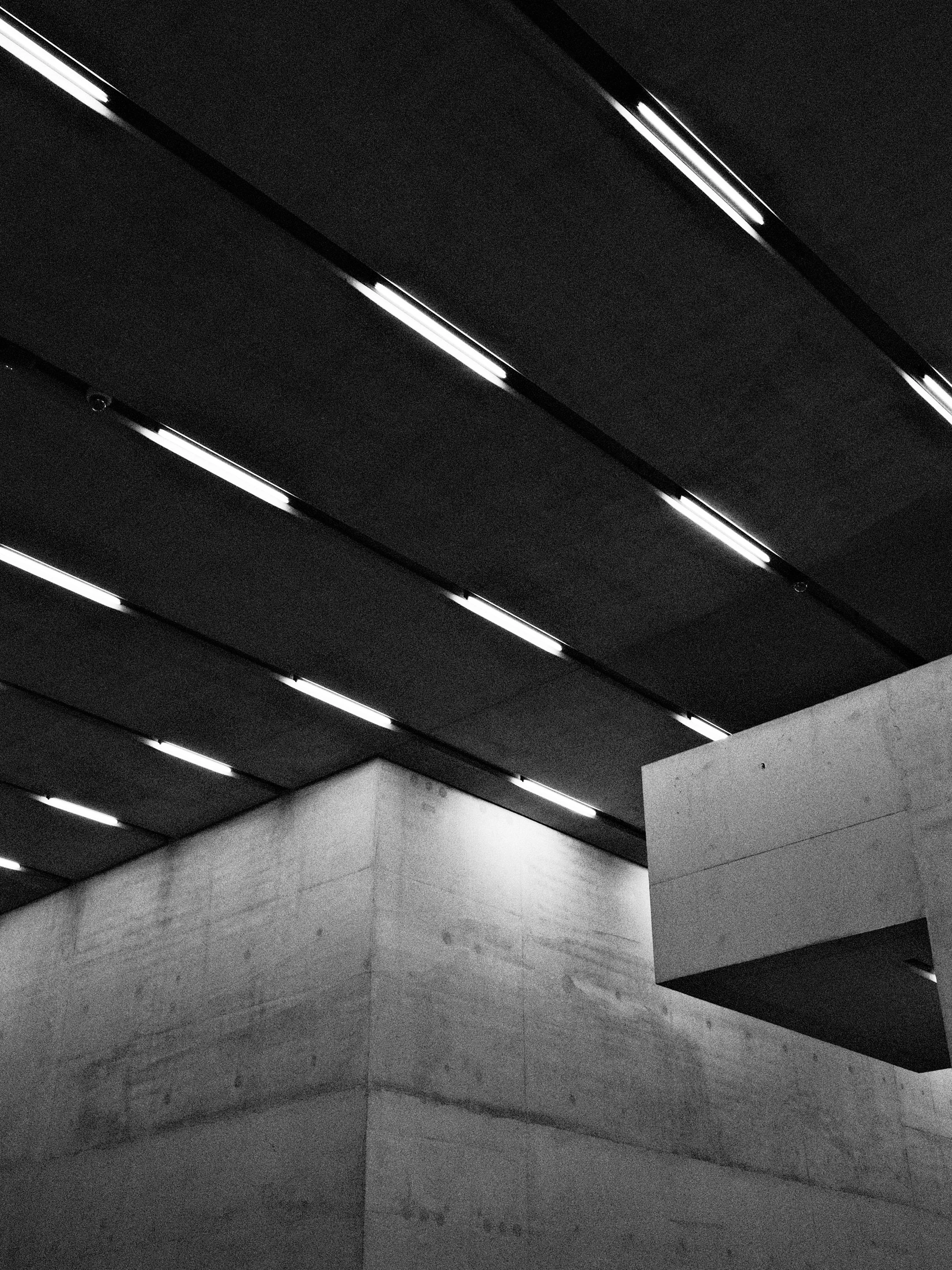 DSCF3366-1.jpg