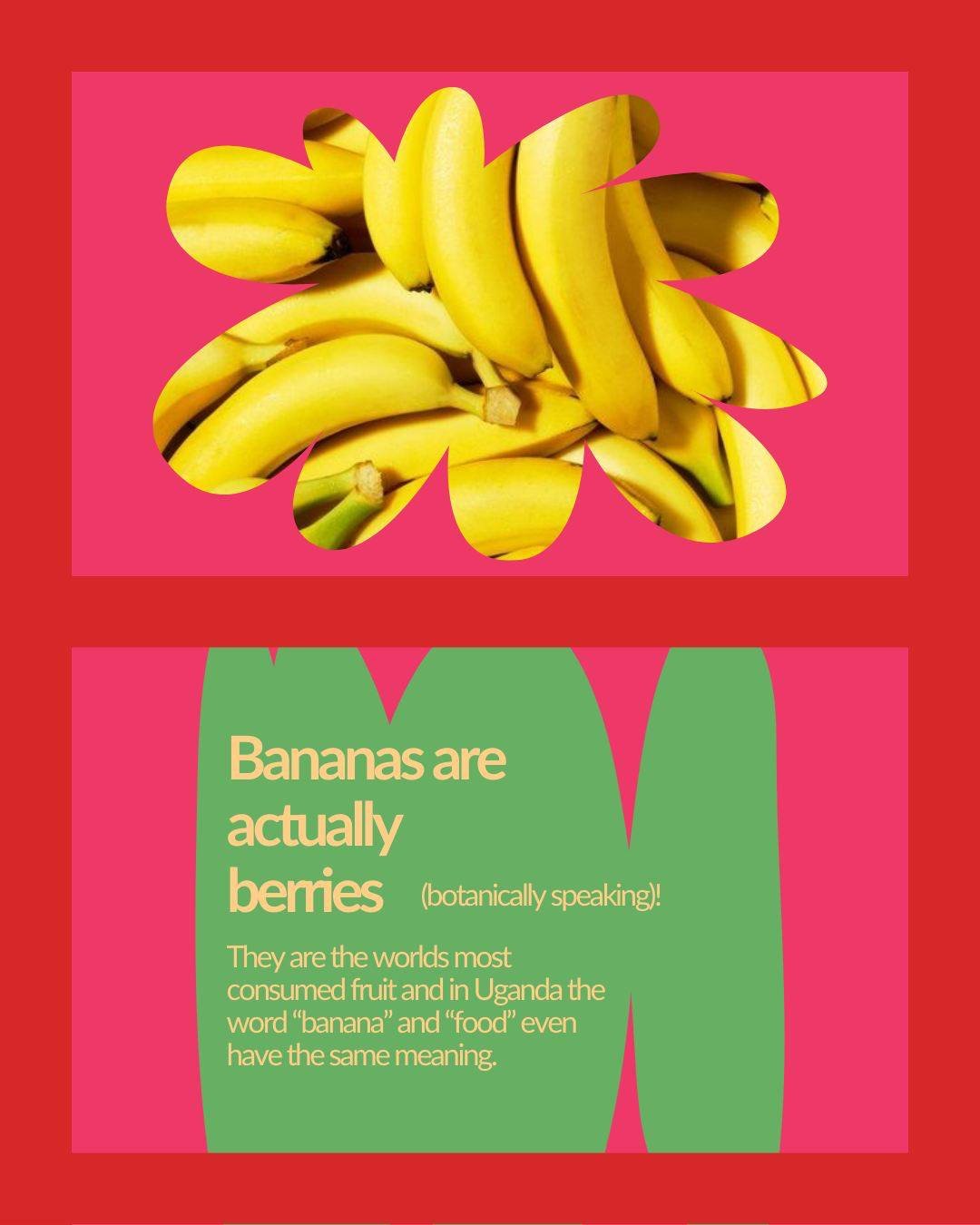 You know the saying, &quot;Not everything is as it seems&quot;? It's usually about life&rsquo;s big mysteries, but it fits perfectly with... produce.
Take tomatoes: technically fruits, but we treat them like vegetables. Almonds? They're seeds but we 