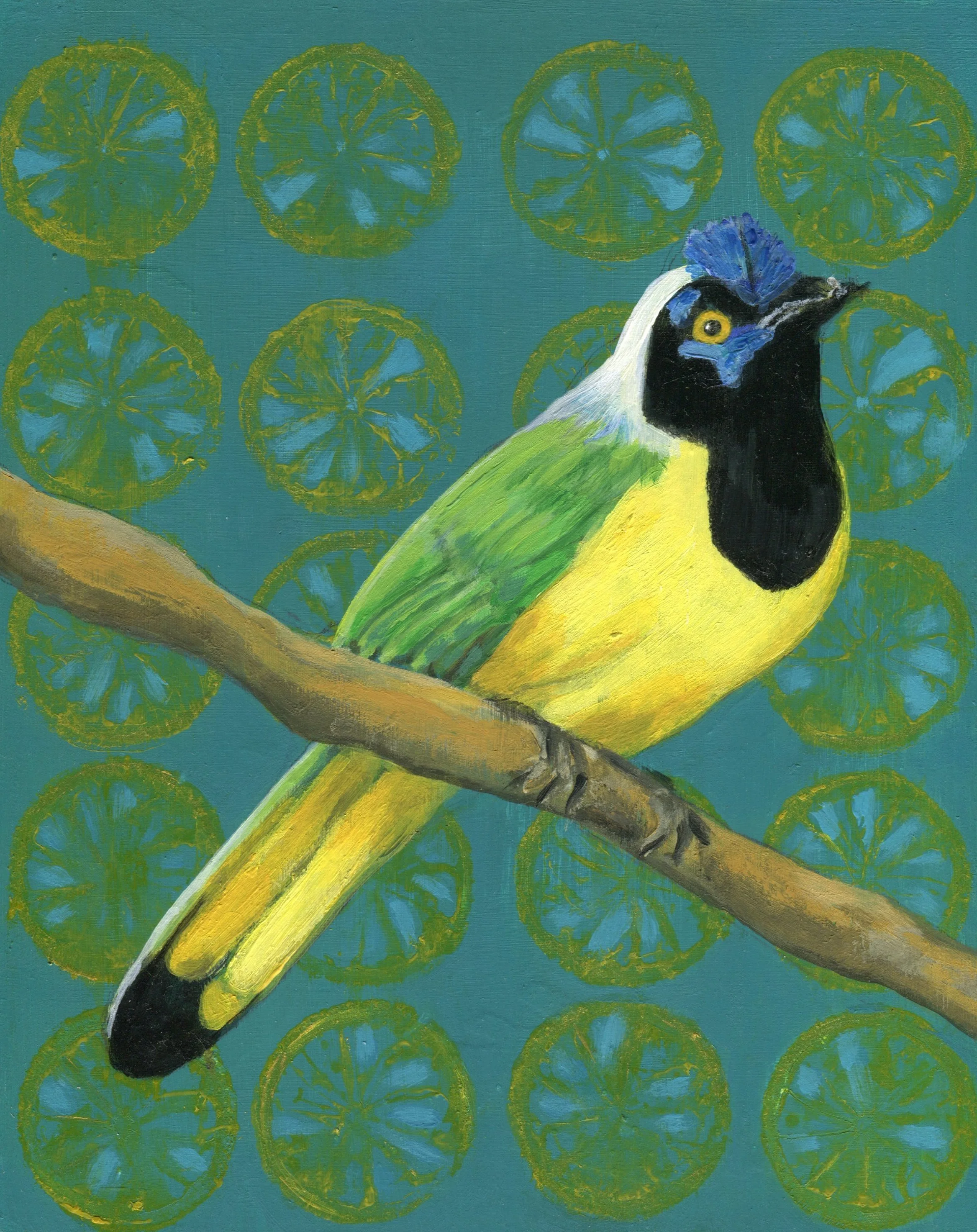 'Chiquita' 20 x25 cm