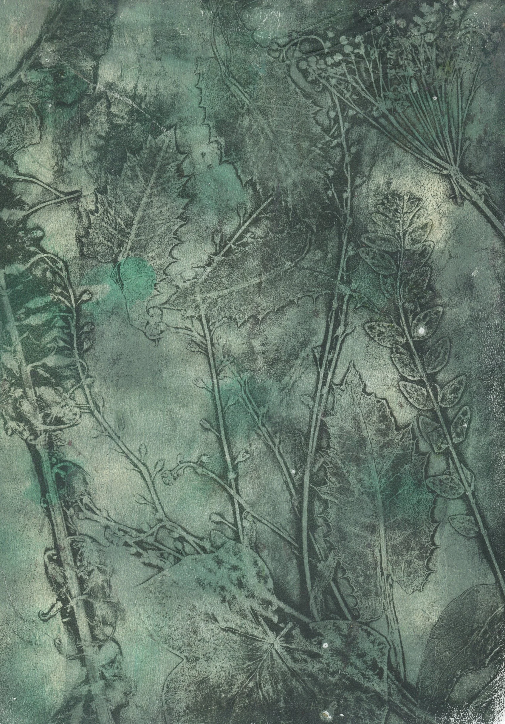 print 5.jpg