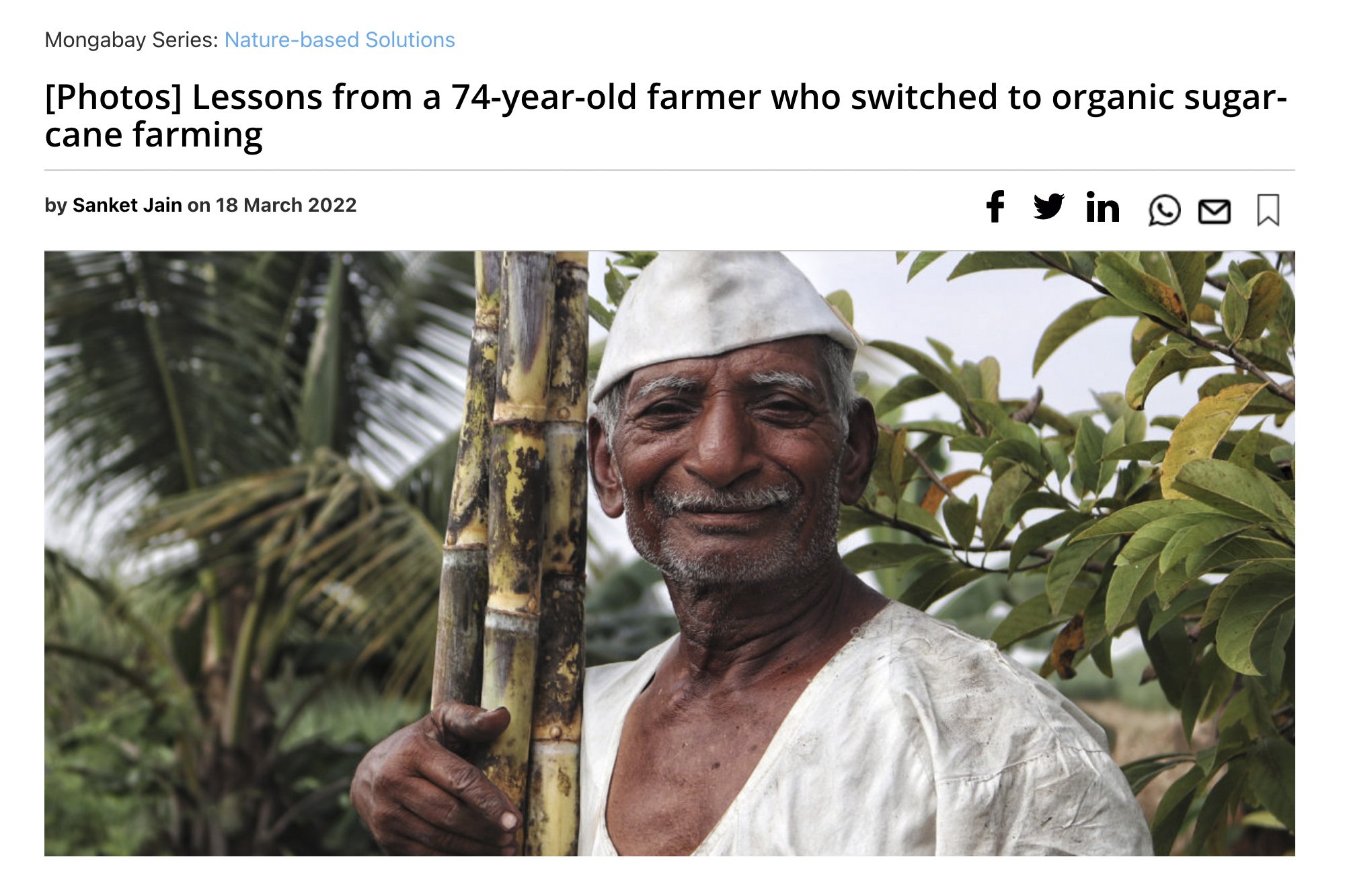 organic-suagrcane1.jpg