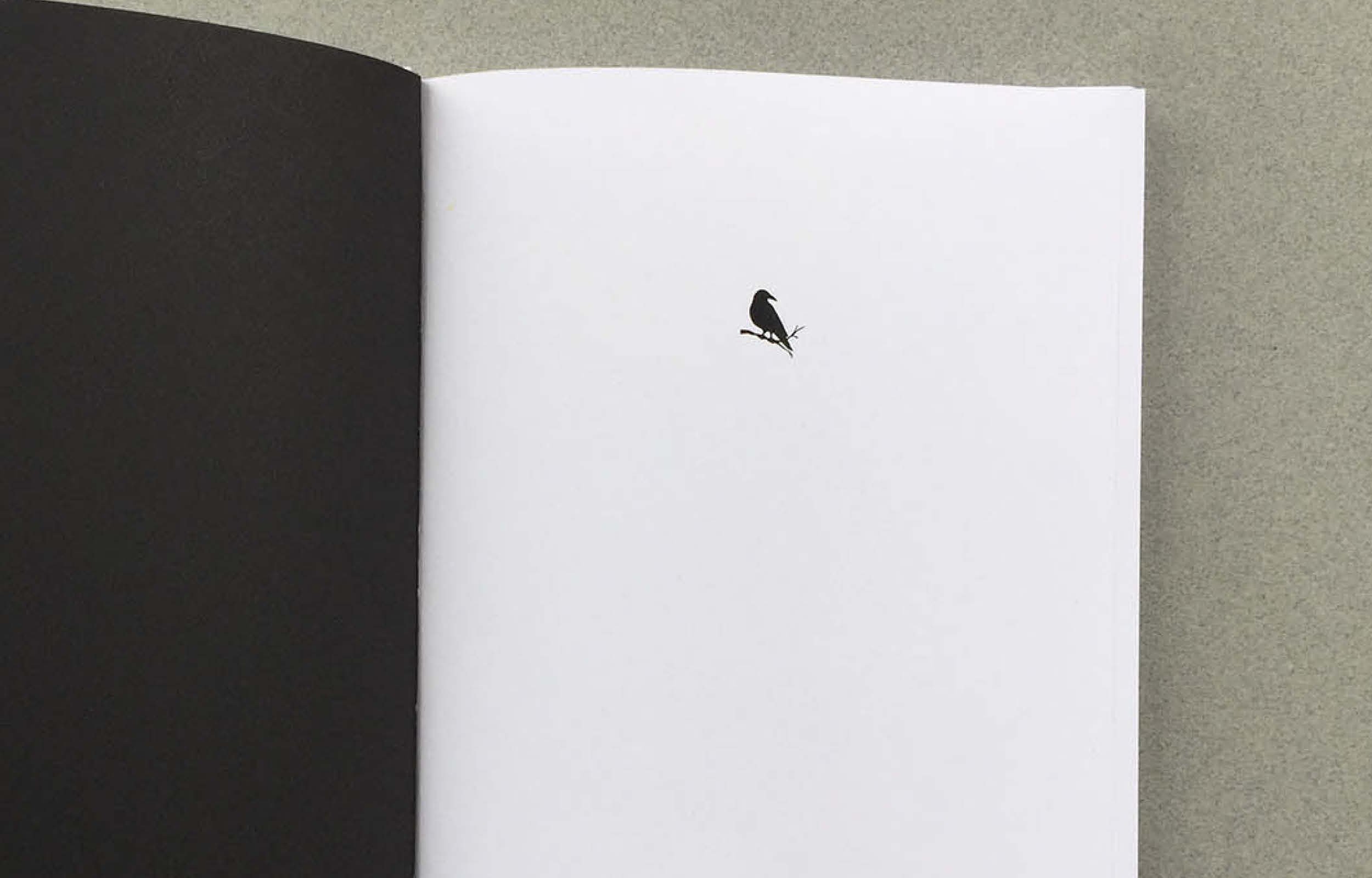corvus_2500x16004.jpg