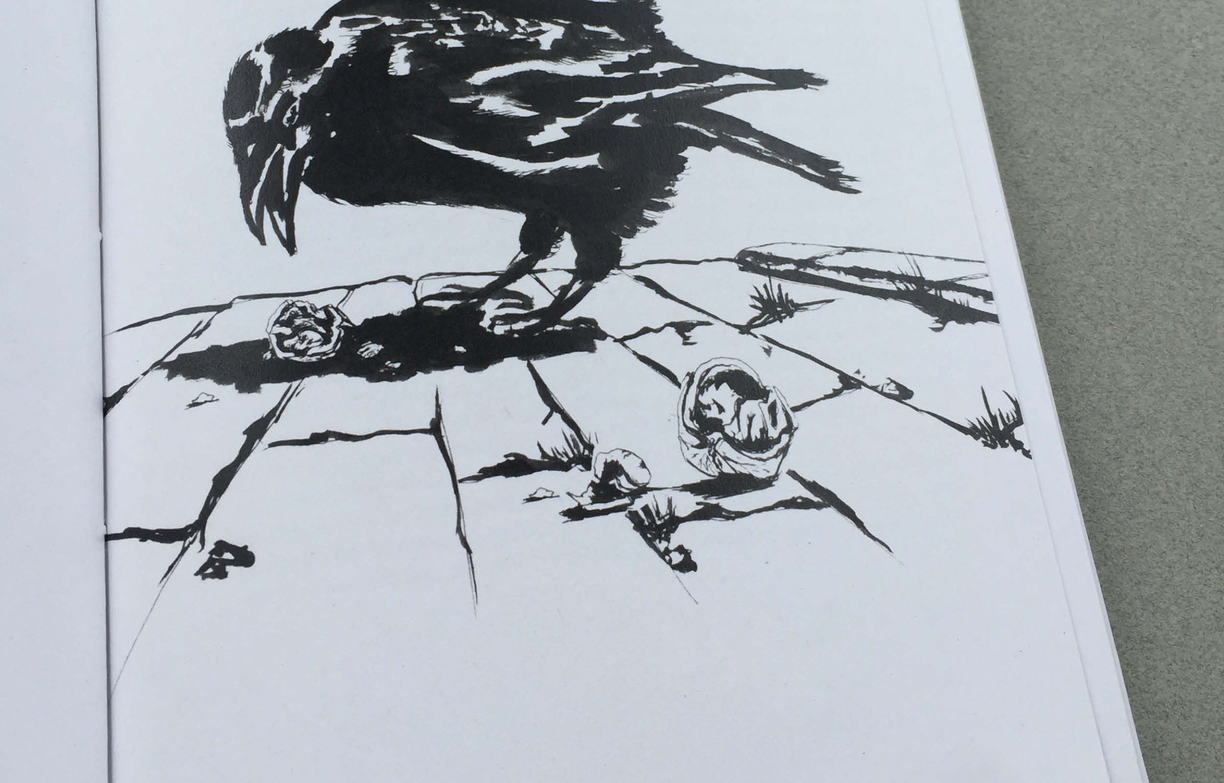corvus_2500x160010.jpg