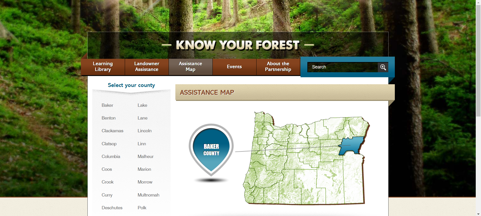 Know Your Forest.png