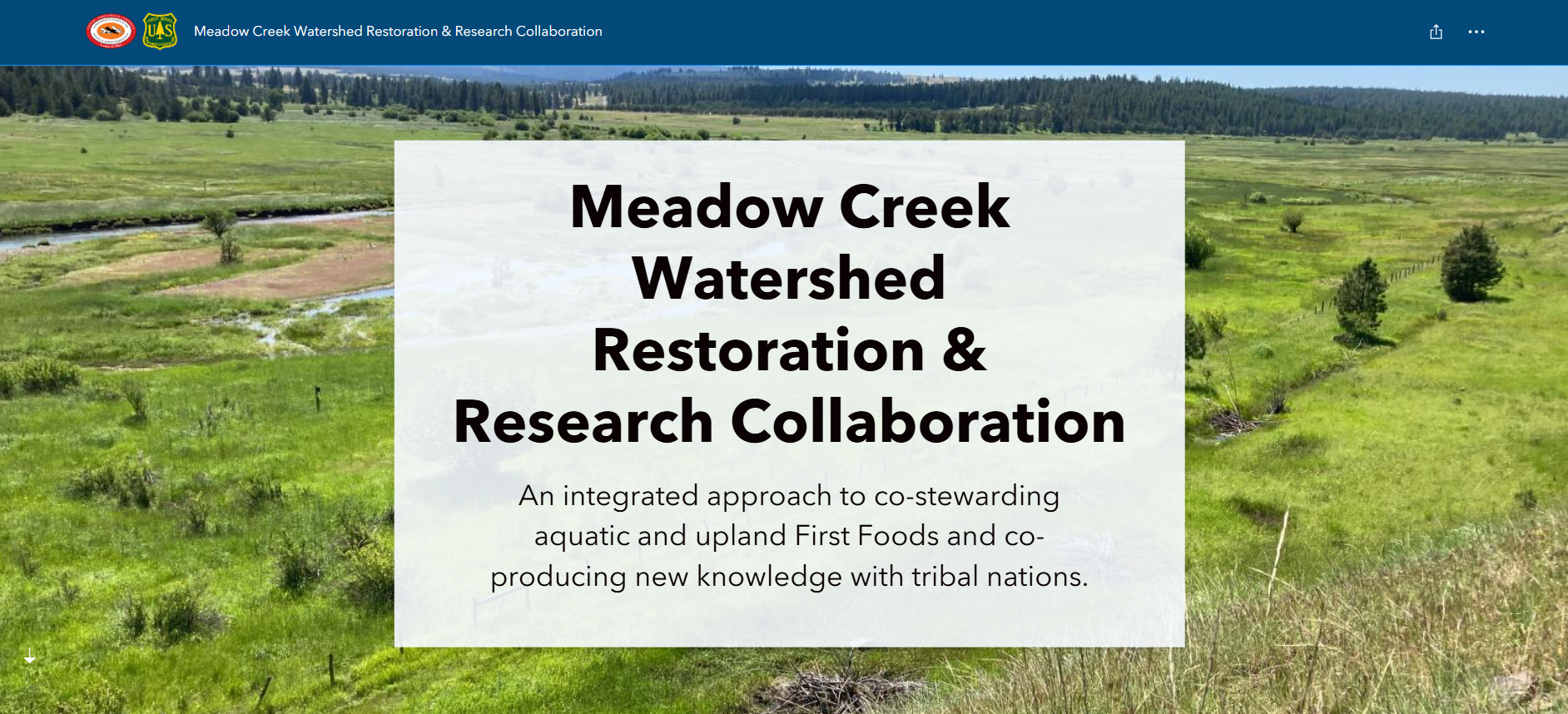 Meadow Creek Watershed Storymap
