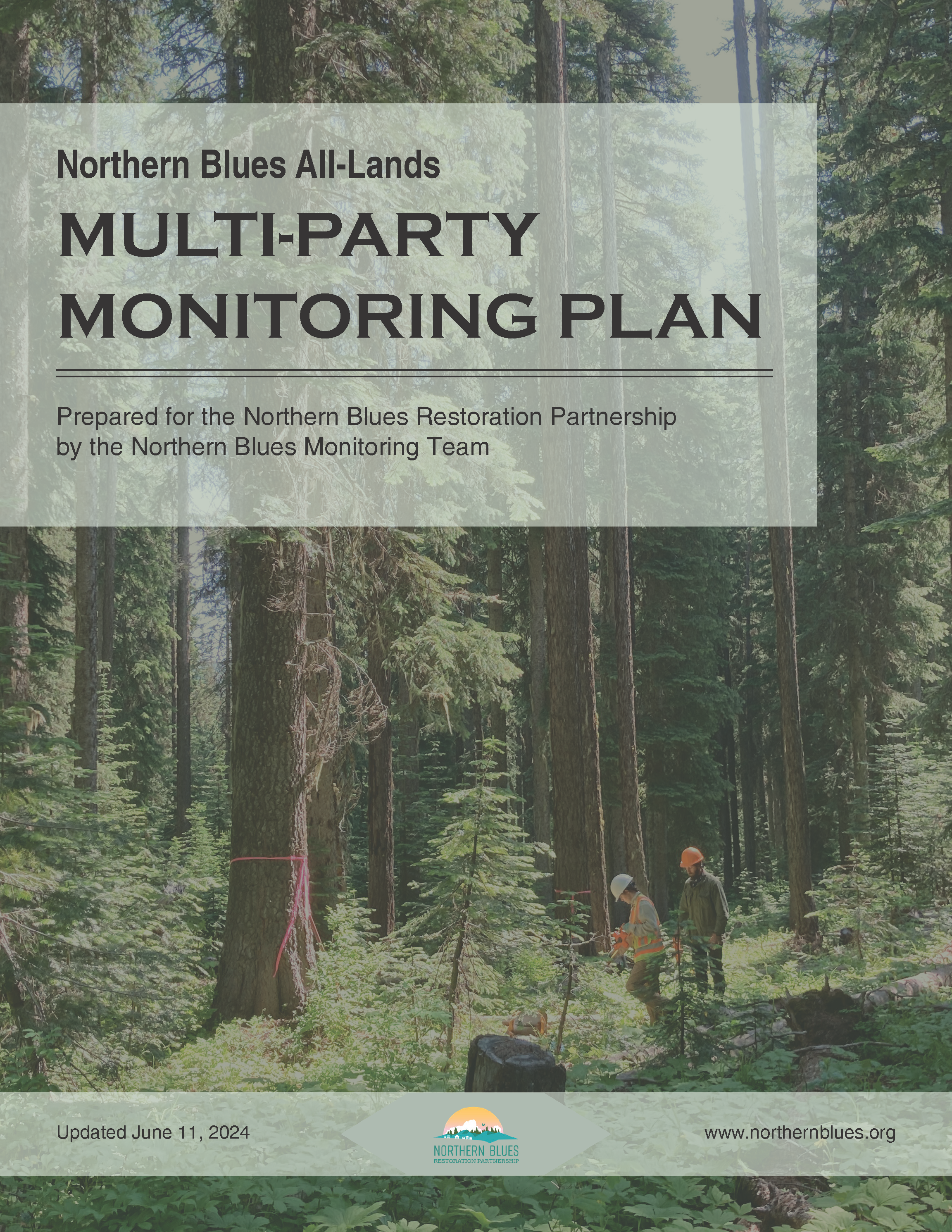 Monitoring Plan - Thumb.png